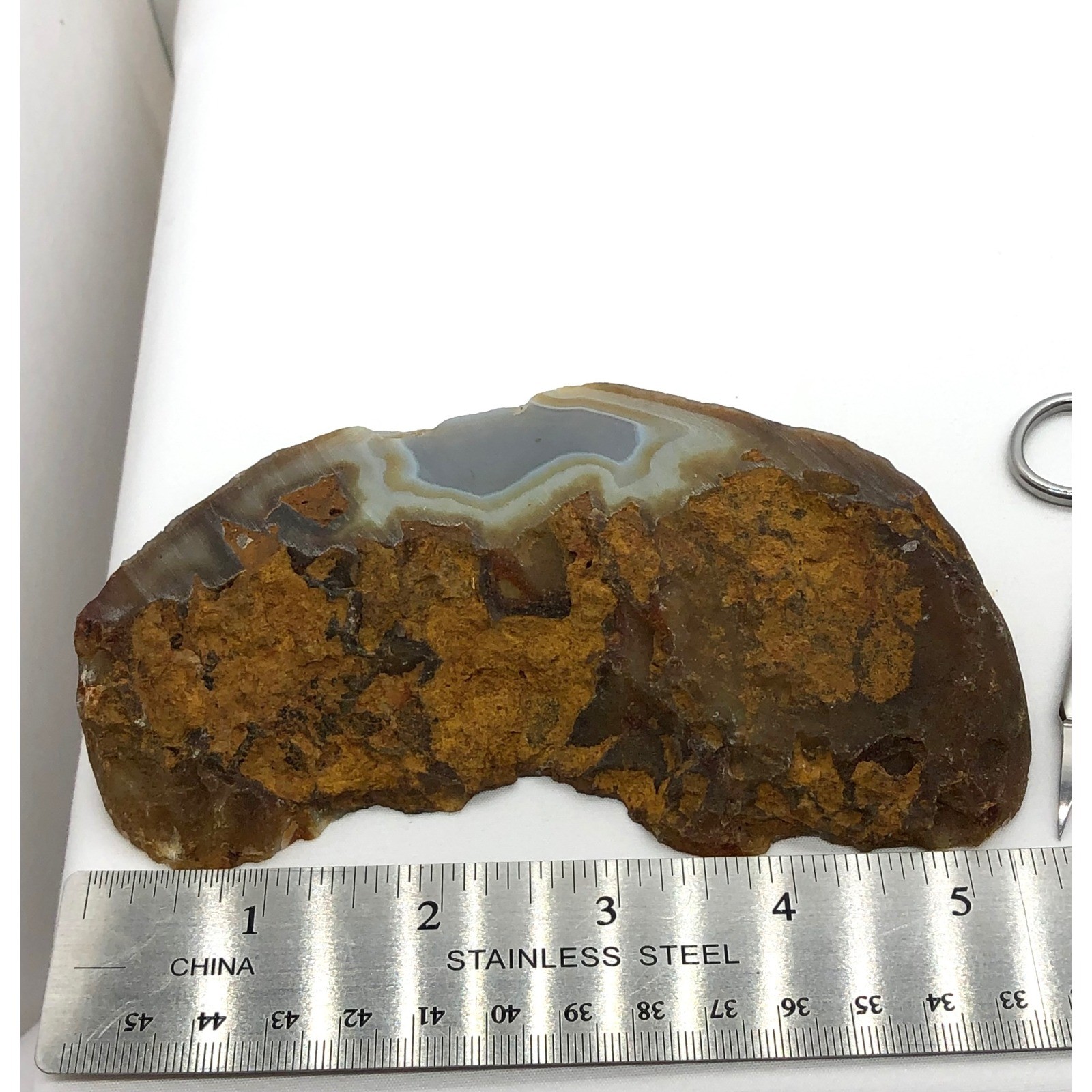 Natural Polished Banded Agate Slice Geode Specimen Brown Gray 5.25 Inch Decor