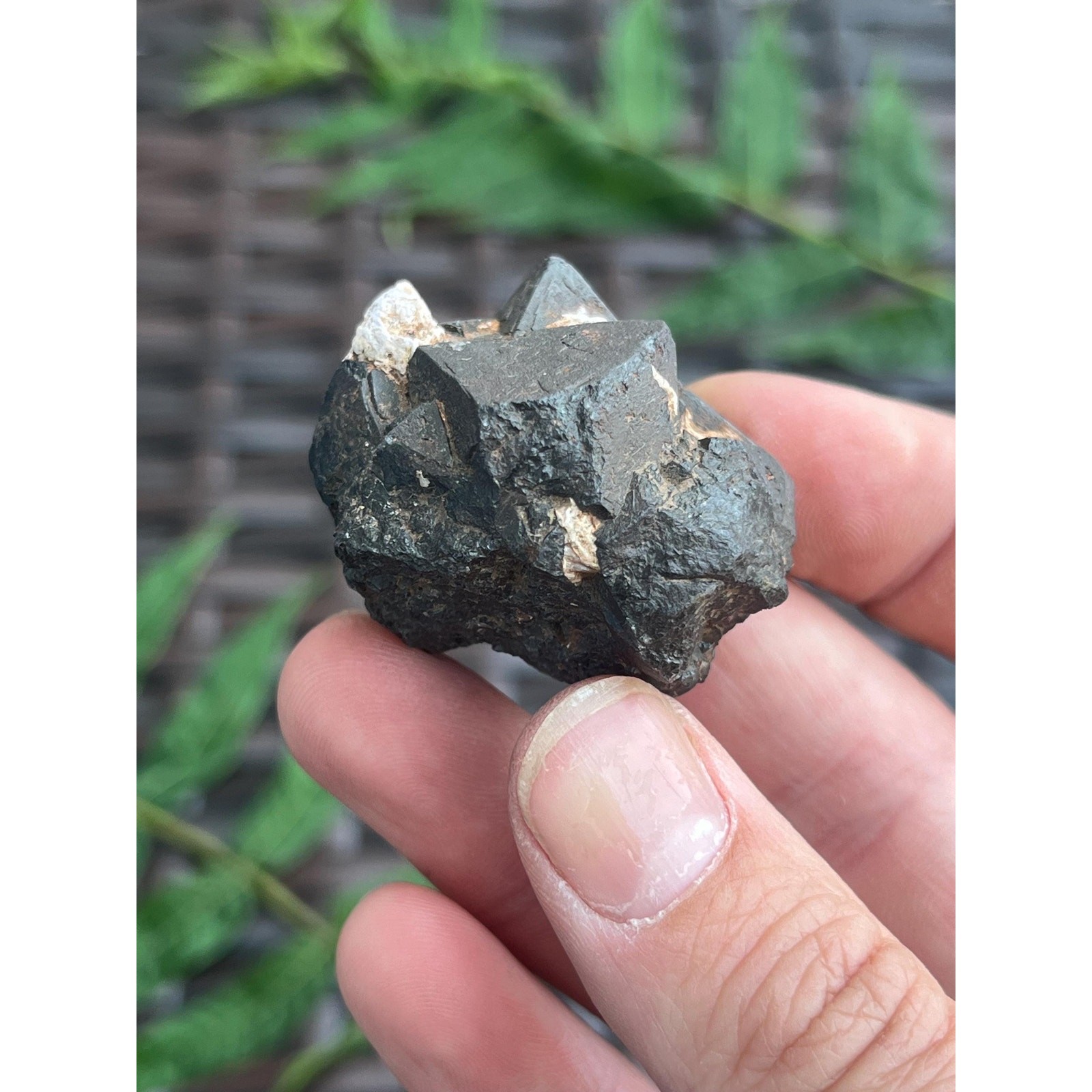 Raw Octahedral Magnetite Crystal Cluster from Utah | Natural Magnetite Specimen