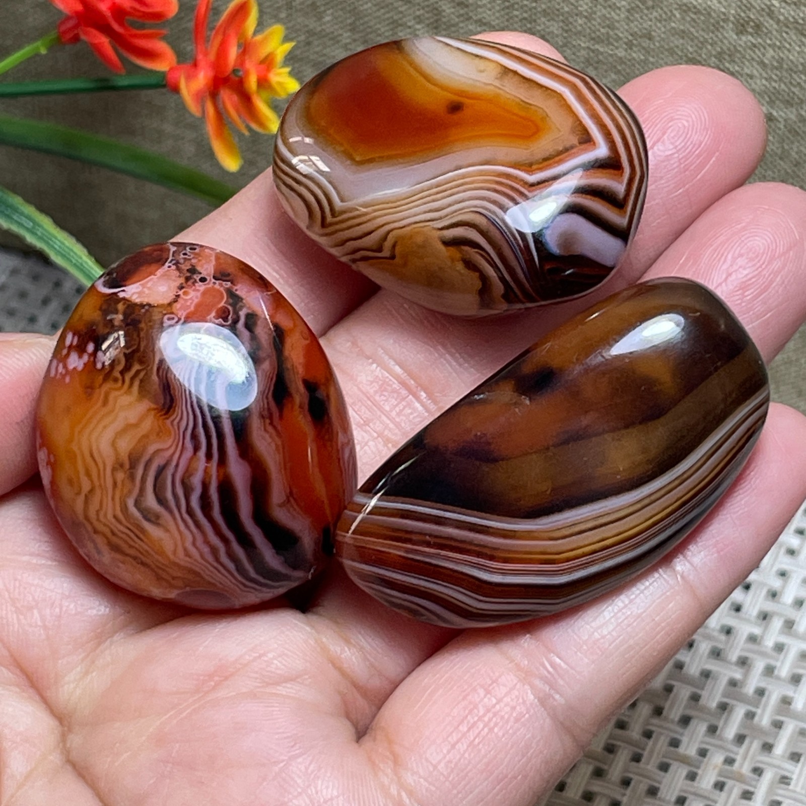 3pcs Crazy Lace SILK Banded Polished Tumbled Stone Madagascar Decor 77g