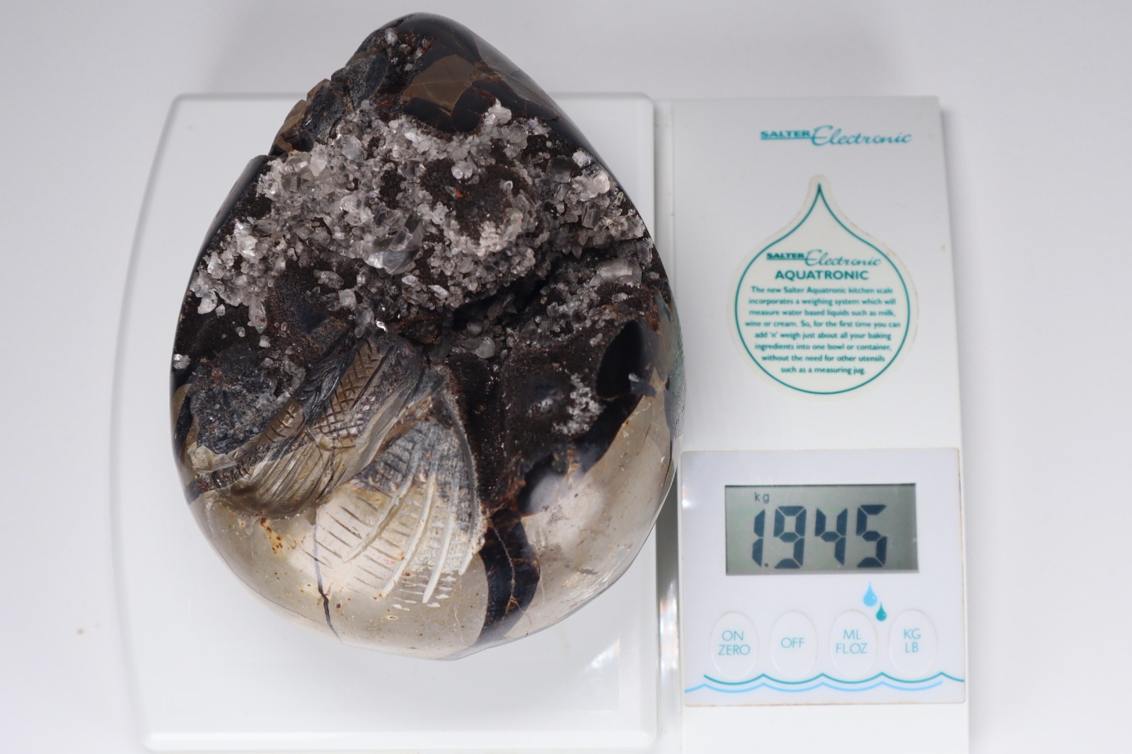 Huge Septarian Dragon Egg 4.3lb Calcite Crystal Cave Fossil Shell Display Stone