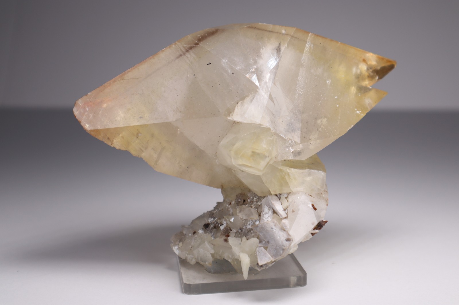 HUGE Elmwood Mine GOLDEN CALCITE Double Terminated Crystal Cluster 645g