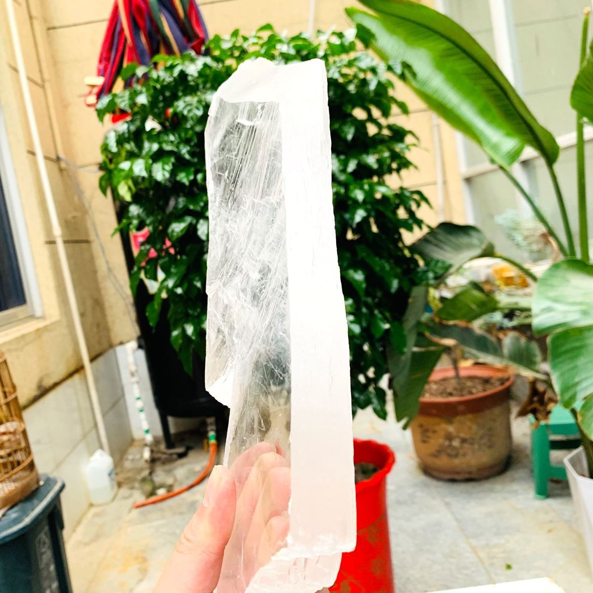2.84LB Natural Clear Transparent Selenite Slab Gypsum Crystal Mineral Specimen