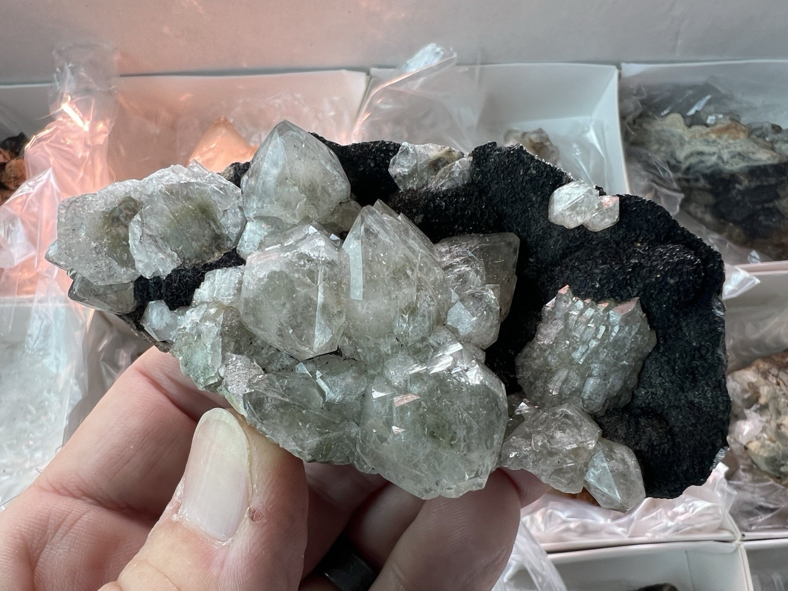 12 Quartz & Siderite Specimens – Potosí Mine, Santa Eulalia, Chihuahua, Mexico