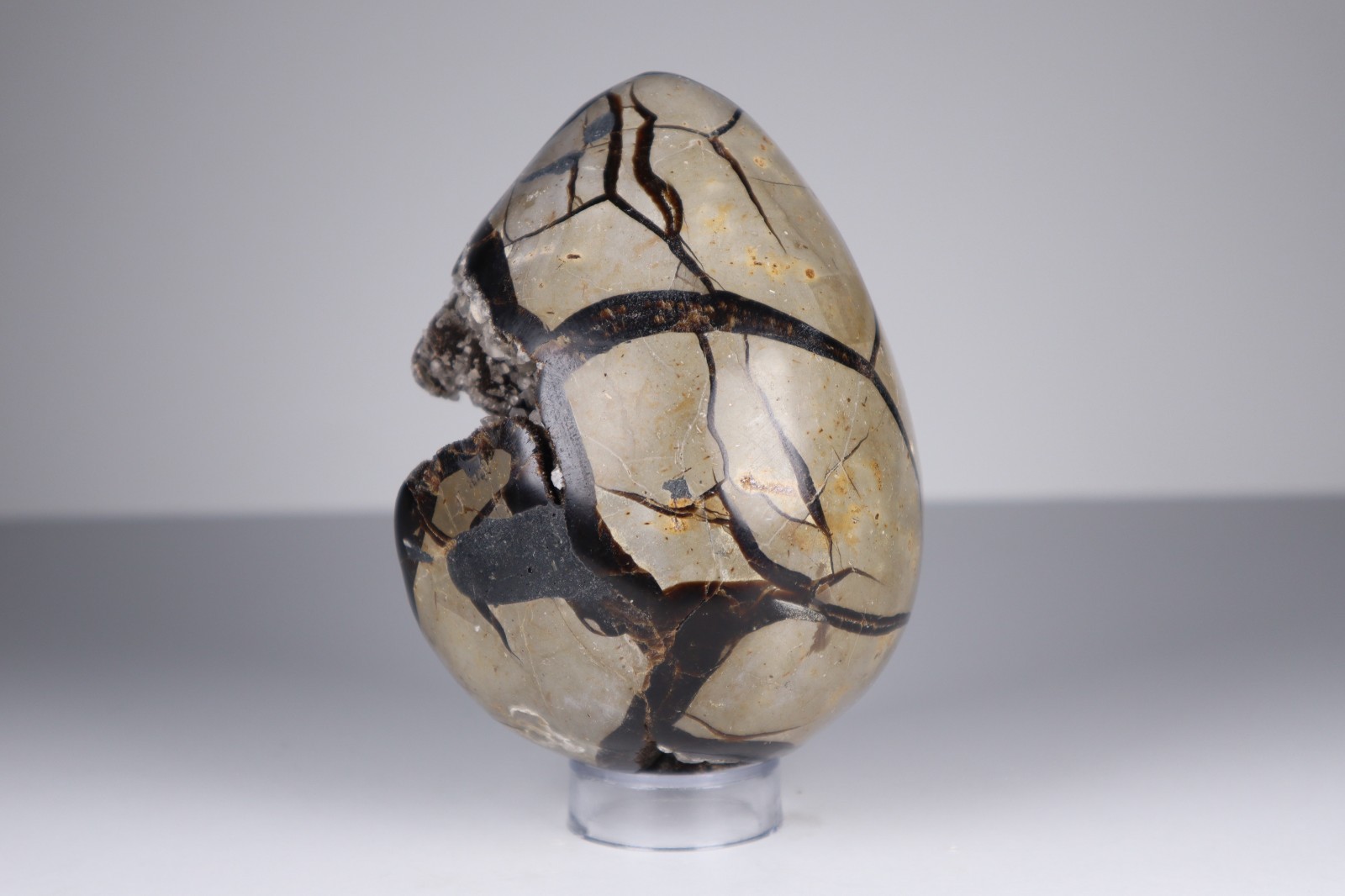 Huge Septarian Dragon Egg 4.3lb Calcite Crystal Cave Fossil Shell Display Stone