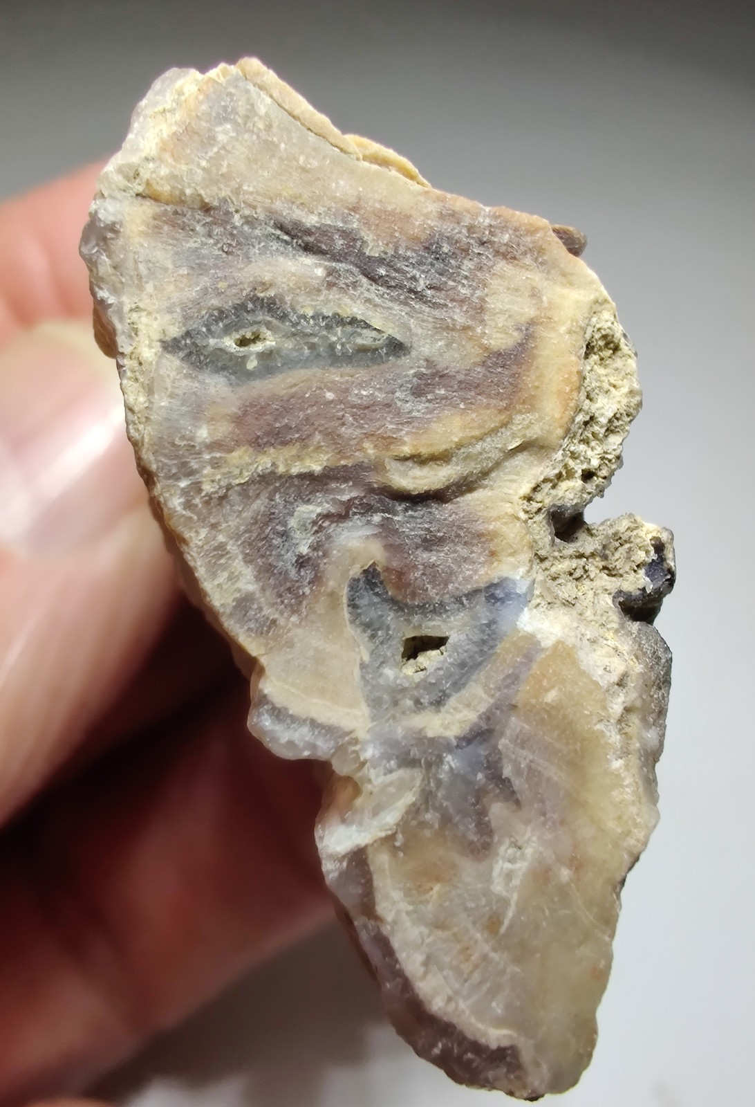 Petrified Wood, Fluorescent. Eden Valley, Wyoming. 36 grams.