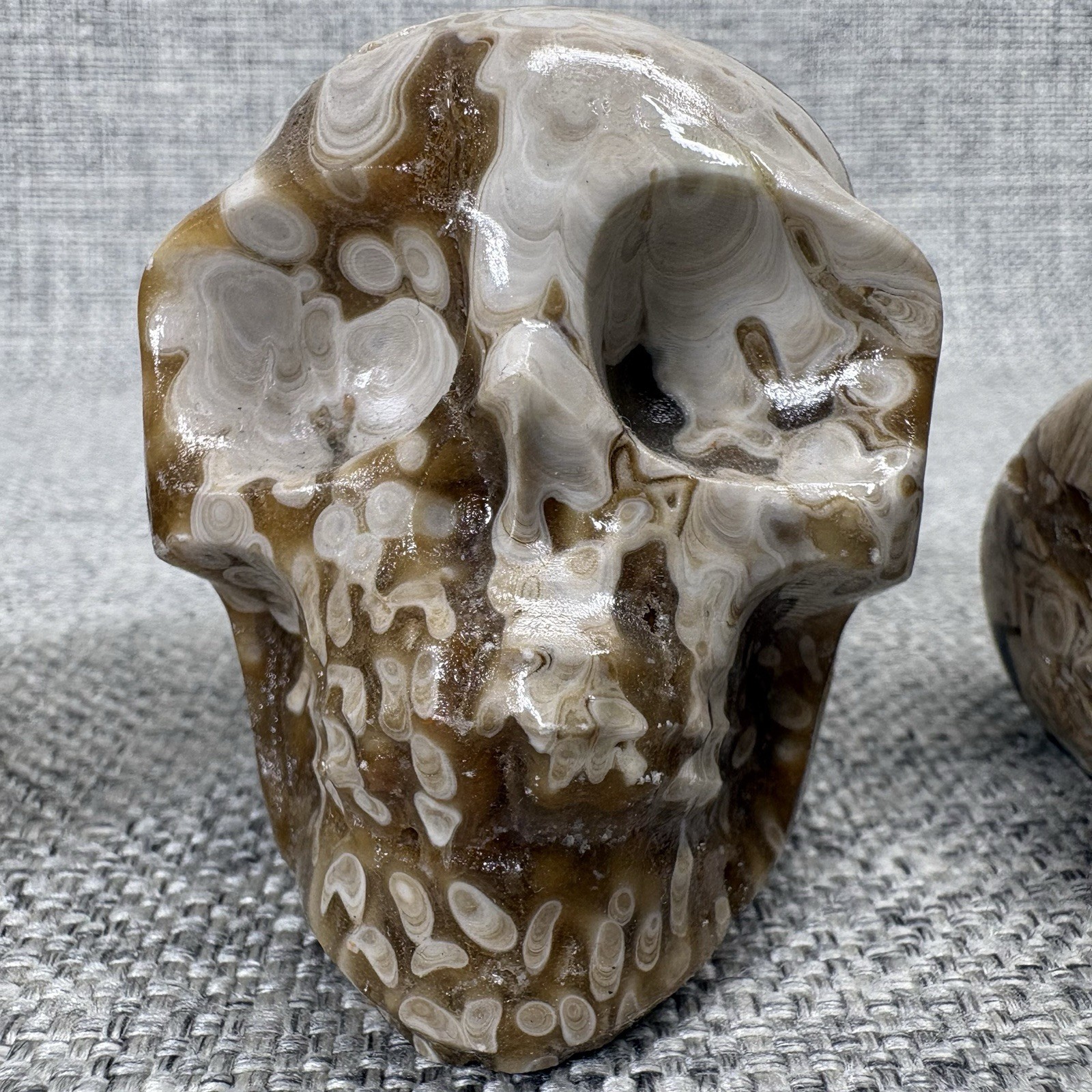 Amber Agate Crystal Skull Set 3pc Druzy Hand Carved Polished Stone Brown