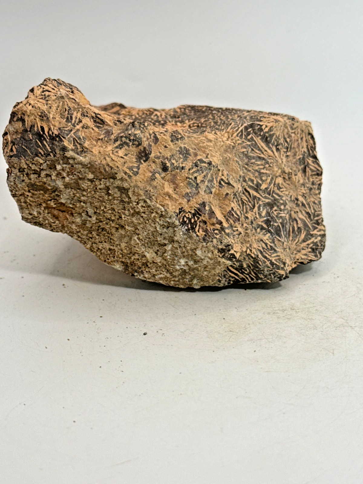 Beautiful Spider Jasper Chrysanthemum Specimen 430 Grams