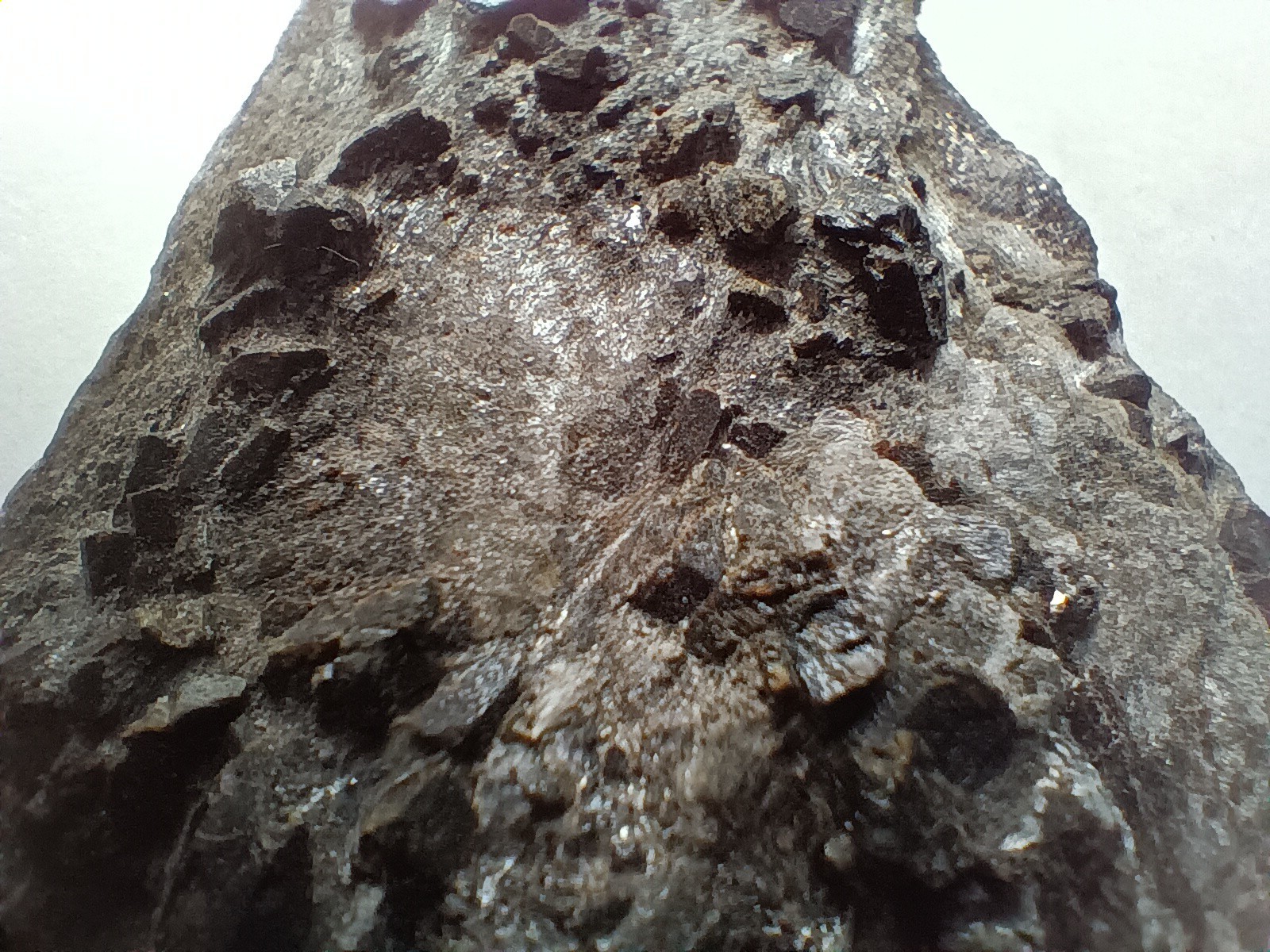 Staurolite in Mica from Maine, Fairy Cross, St Andrews Cross, Good Luck Stone