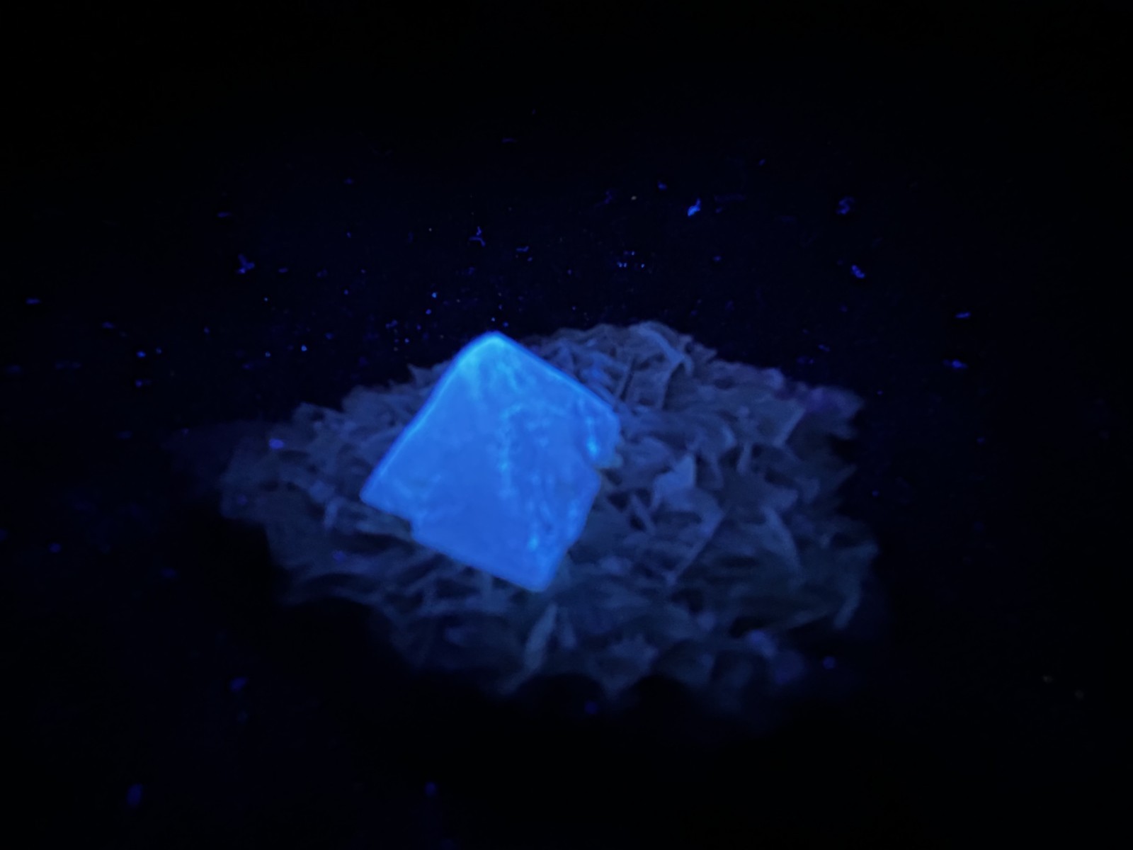 KB: SW FL BRIGHT BLUE/WHITE & LW ORANGE SCHEELITE XLS. FROM PINGWU MINE, CHINA