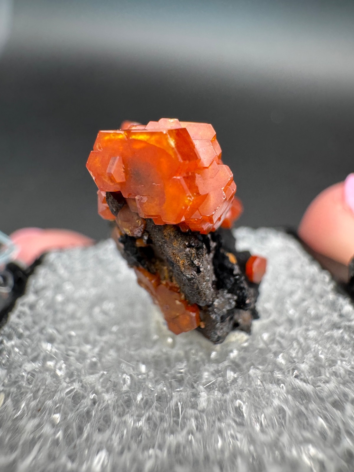 6786 Red Vanadinite on RARE Black Hematite Matrix in Perky Morocco