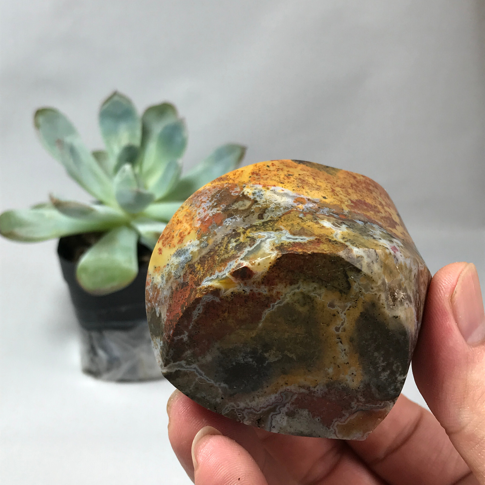 Natural Ocean Jasper torch Hand carve polish Crystal free standing 386g g6622