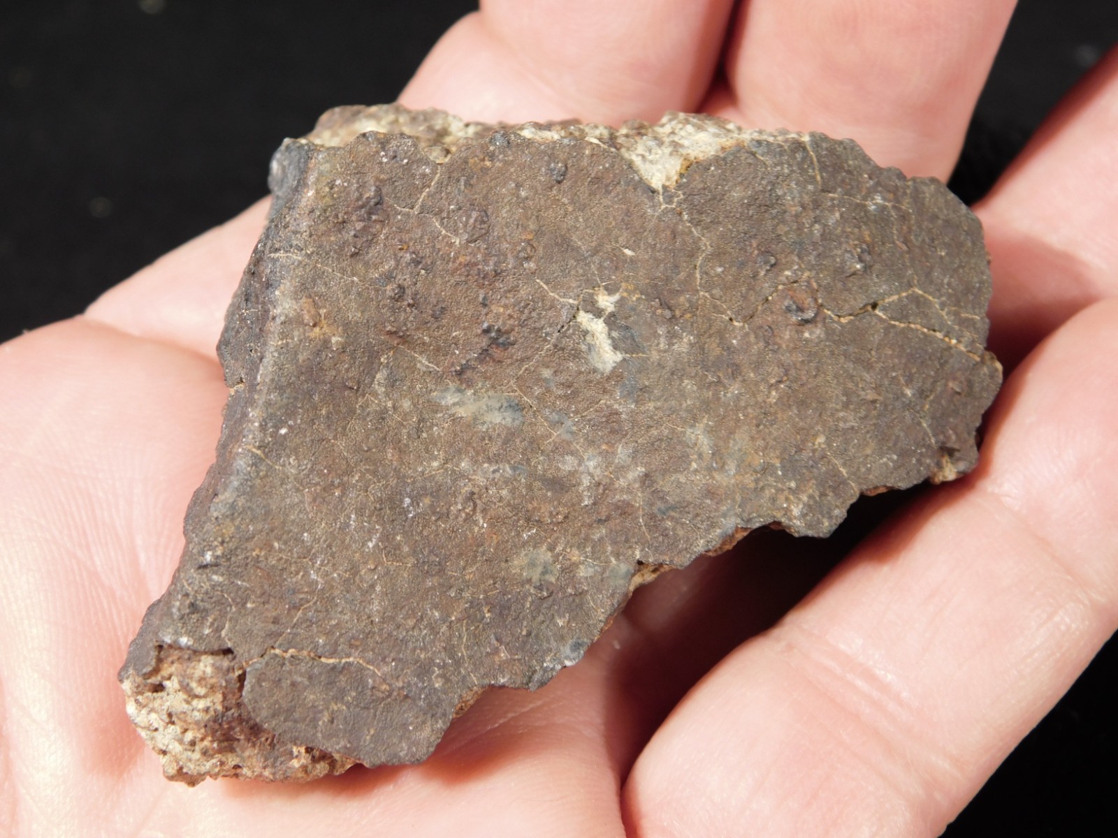 Classified NWA 8245 METEORITE 100% Natural FELL on Erfoud, Morocco 114gr