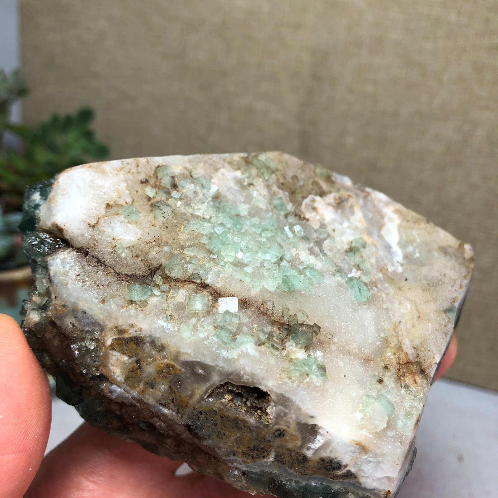 345g NATURAL Green Cubic FLUORITE Crystal Cluster Mineral Specimen A4719