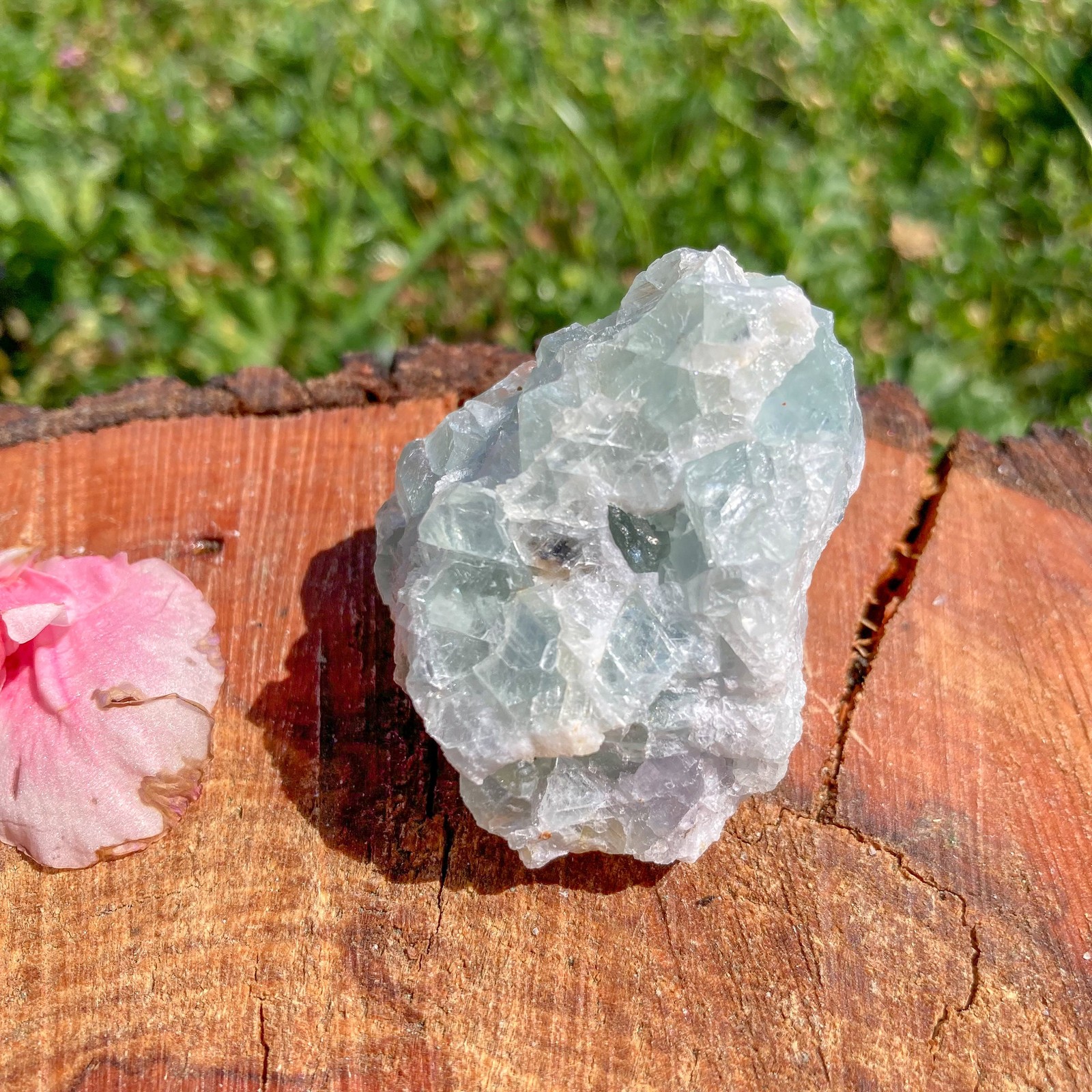 Rough Green Fluorite Crystal / Grounding / Psychic / Cleansing / Healing