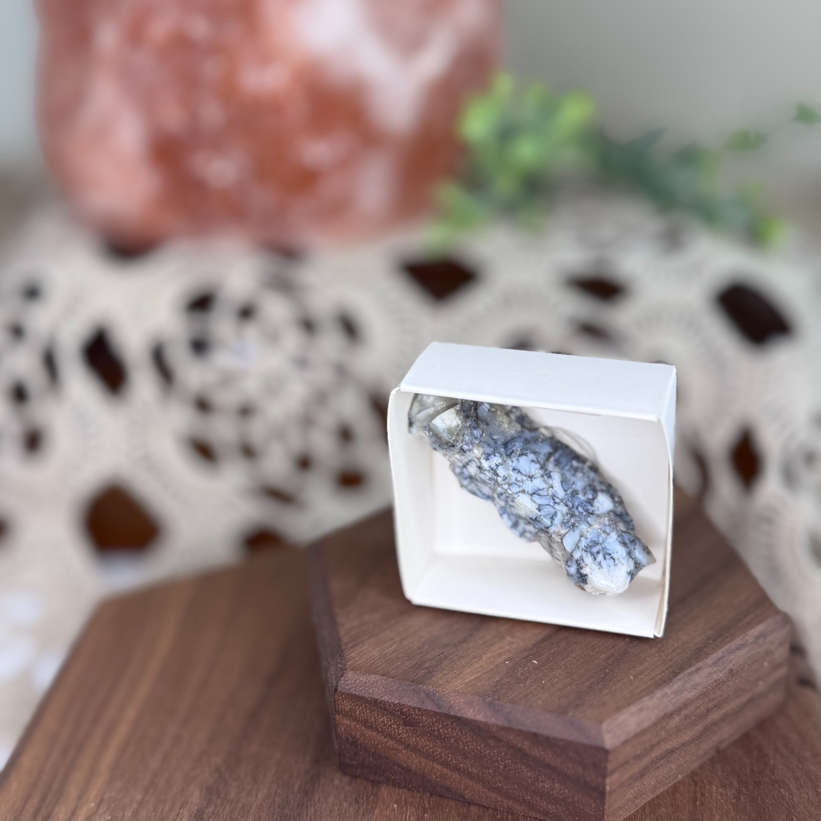 Moosopal Common Opal w/ Dendritic Inclusions Dobersberg NÖ Austria Specimen