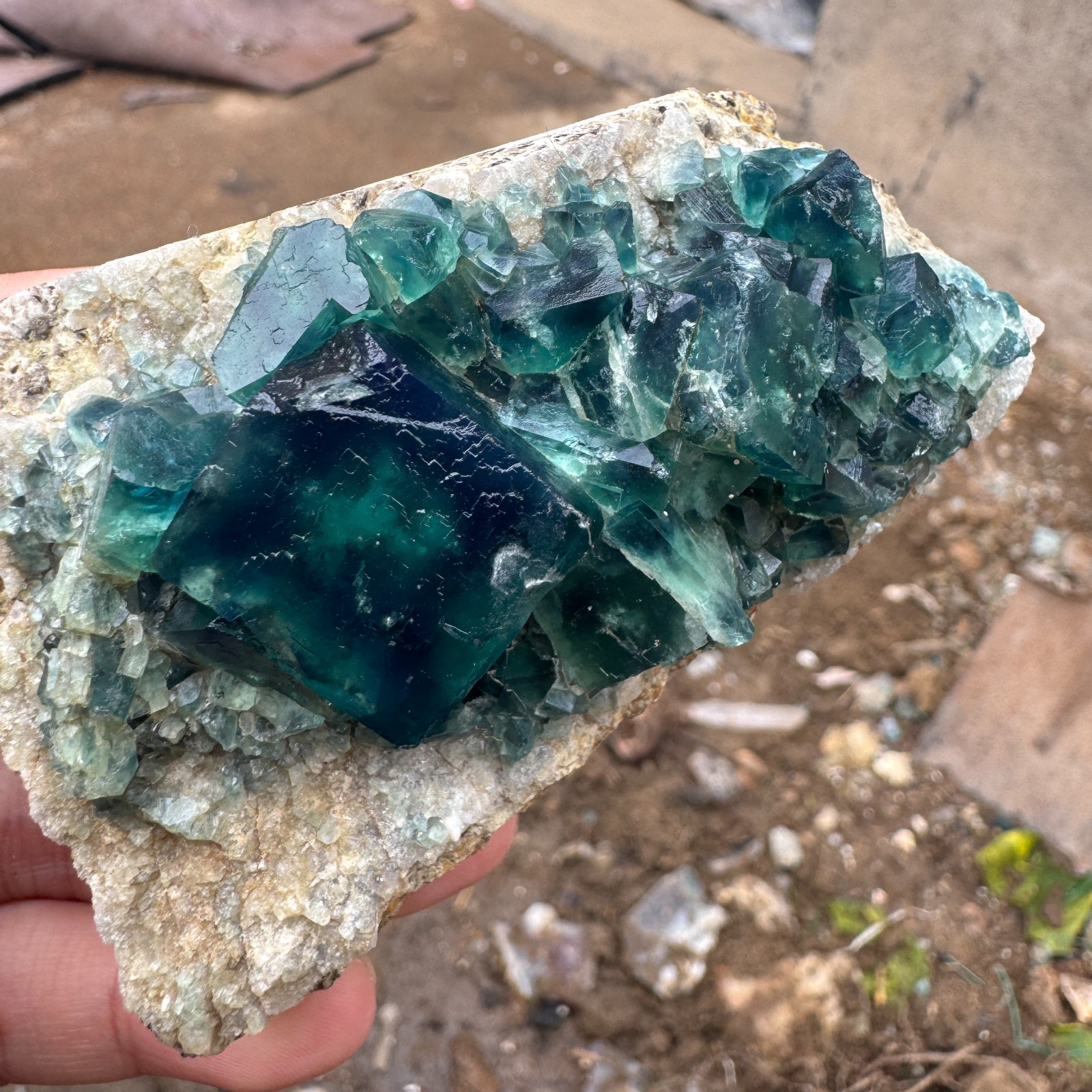 200G Natural cubic green fluorite crystal cluster rough mineral specimen Healing
