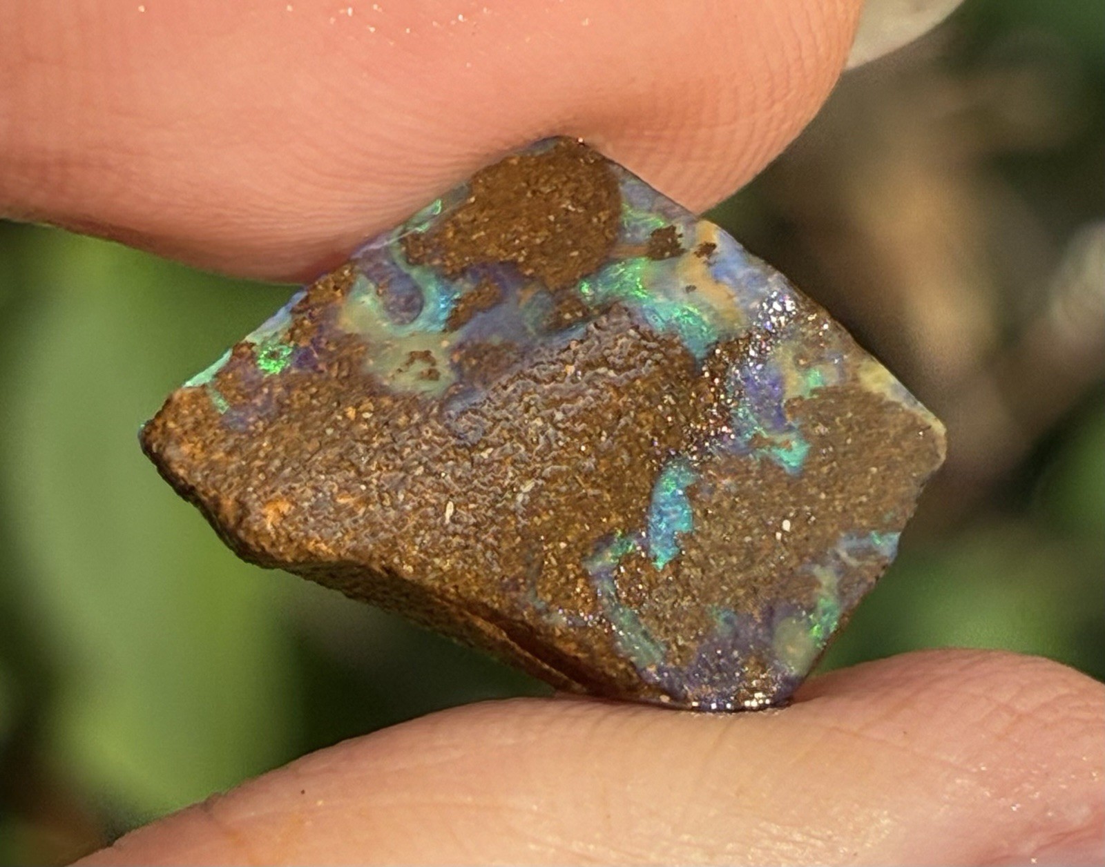 6ct Australian Small Pretty Boulder Opal Rough Loose Multicolor Specimen A21