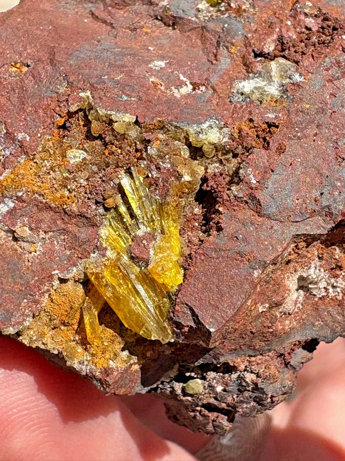 Legrandite crystal spray in matrix, Ojuela mine, Mapimi, Durango, Mexico