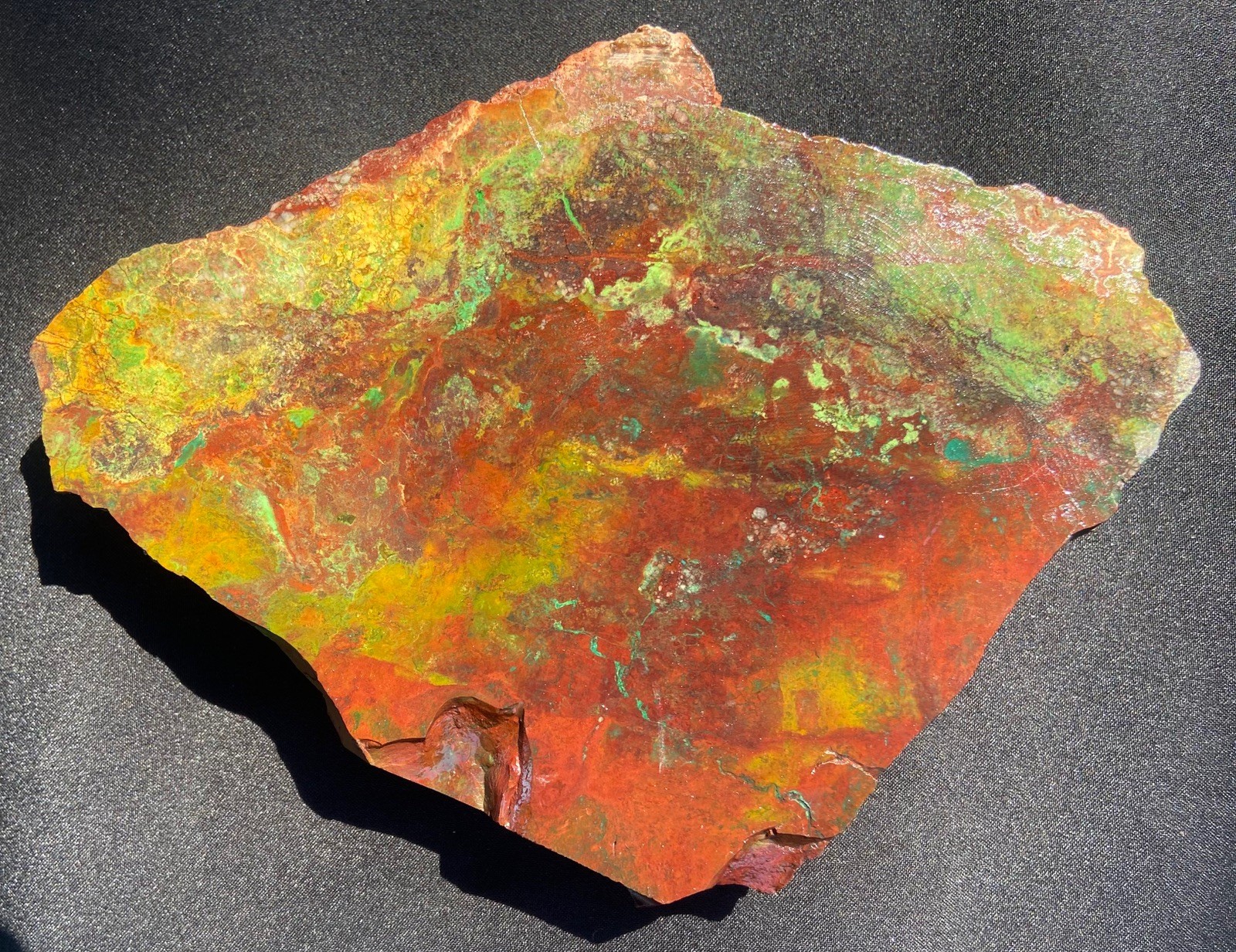 Parrot Wing Chrysocolla Colorful AA Big Slab Untreated No Cracks 212 Gram 7.5 Oz
