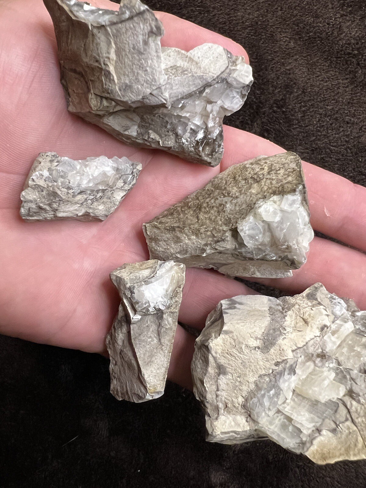 raw natural quartz crystal North East Mississippi Outcrop 5 Pieces