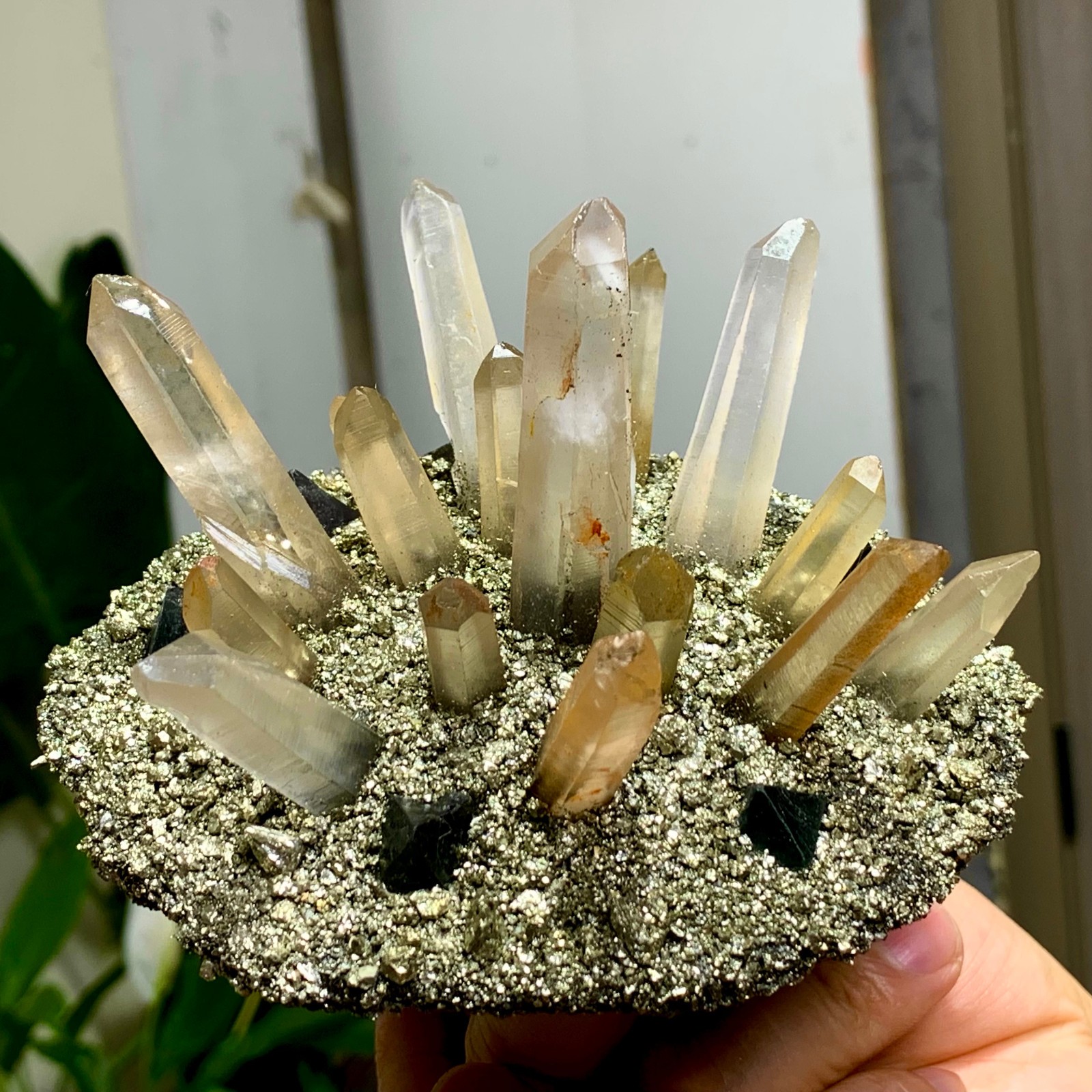 492G Coexistence of natural quartz and pyrite green fluorite crystal clusters