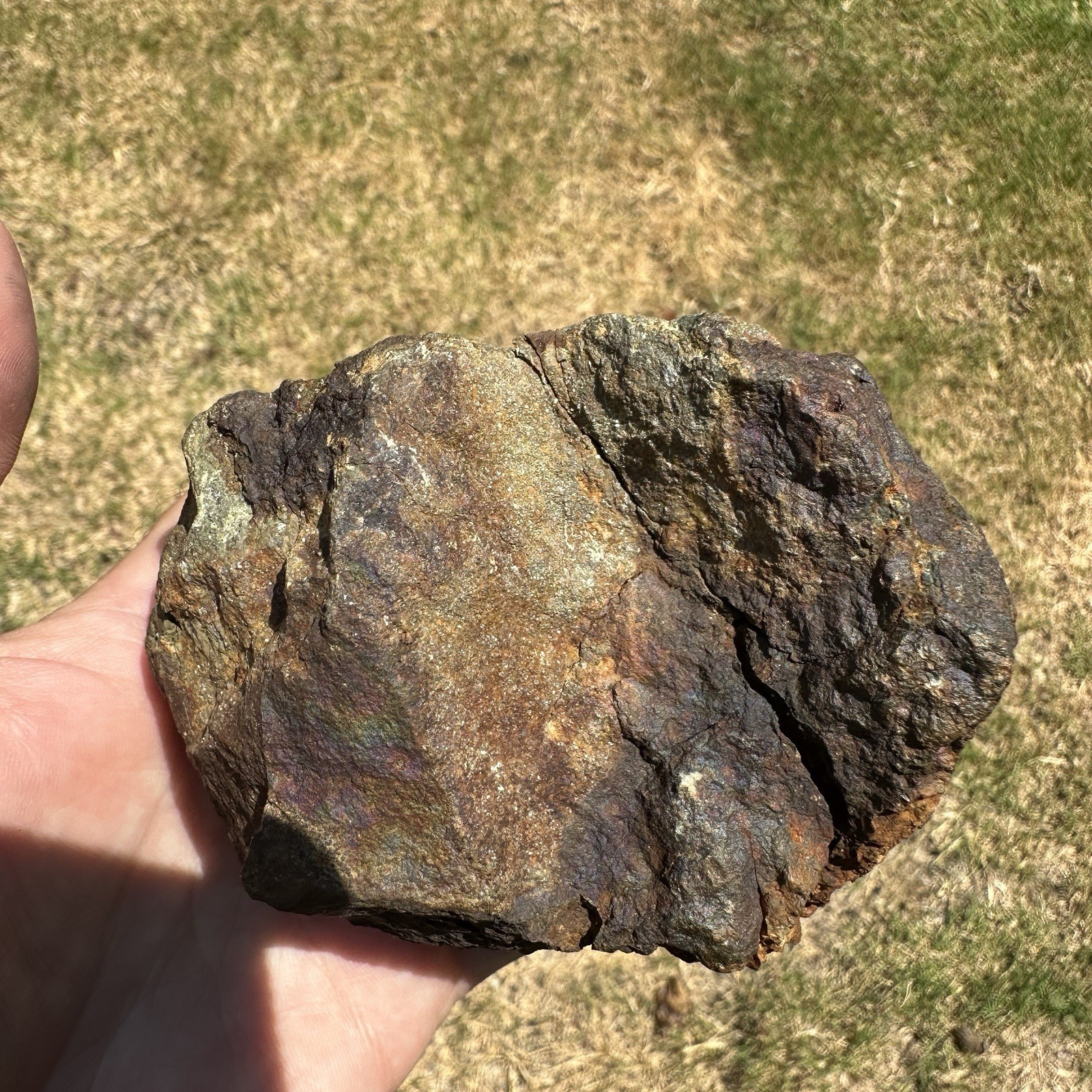 Mt Skukum Pyrite Nodule 3.75 Inch Collector Mineral Rock Specimen Yukon 1076.3g