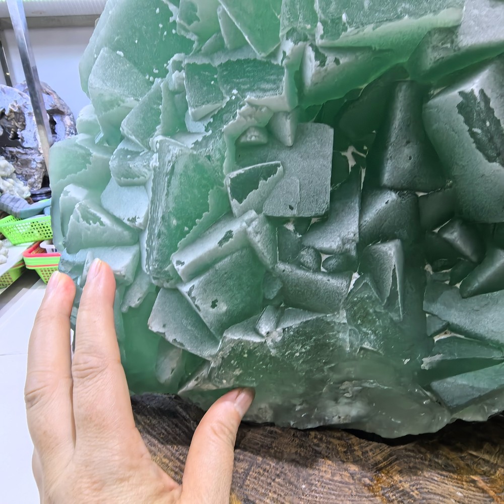 110LB Top Natural Green Fluorite Quartz Cluster Crystal Mineral Specimen + stand