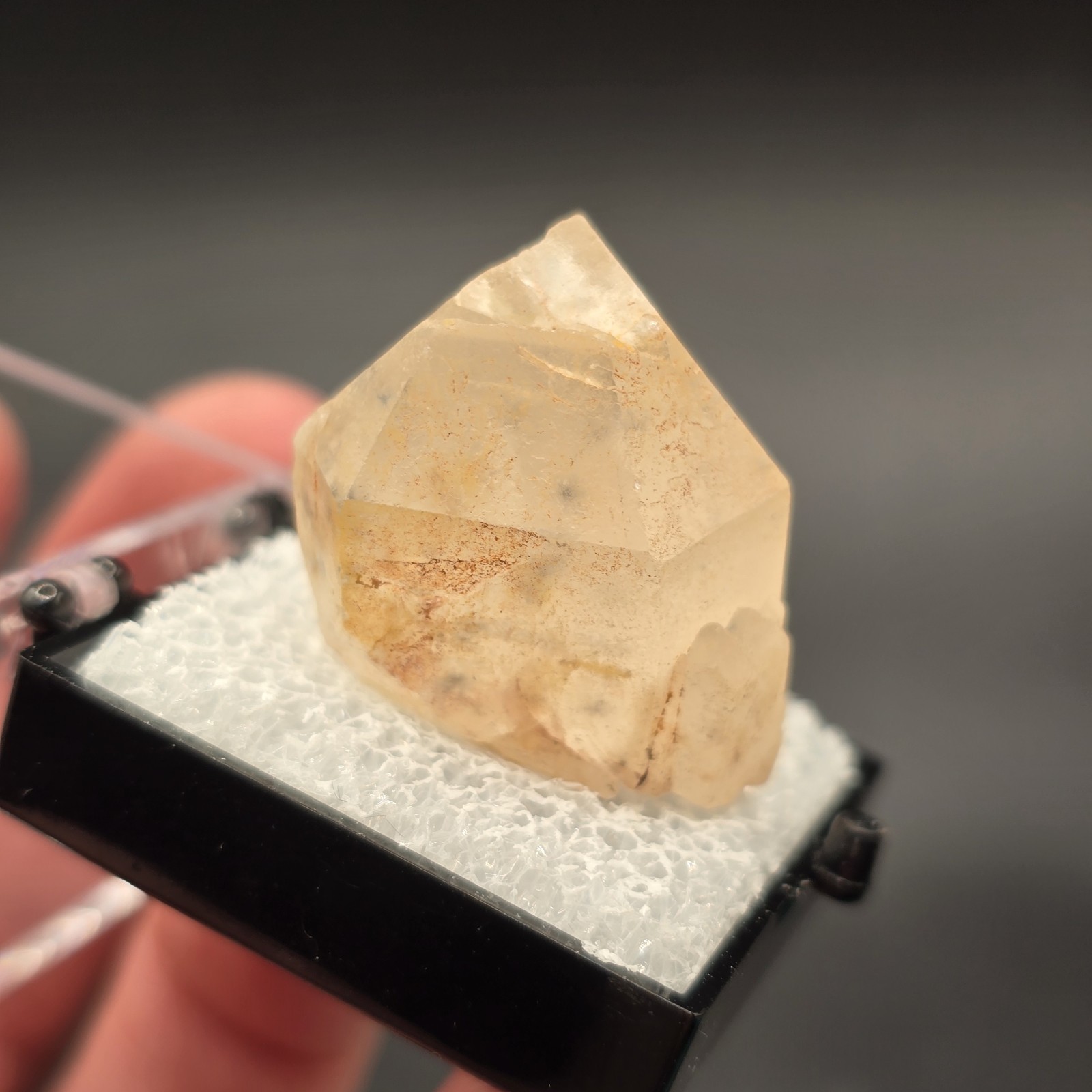 Hollandite Spider Quartz Point Crystal Madagascar Gemstone Specimen in Perky Box