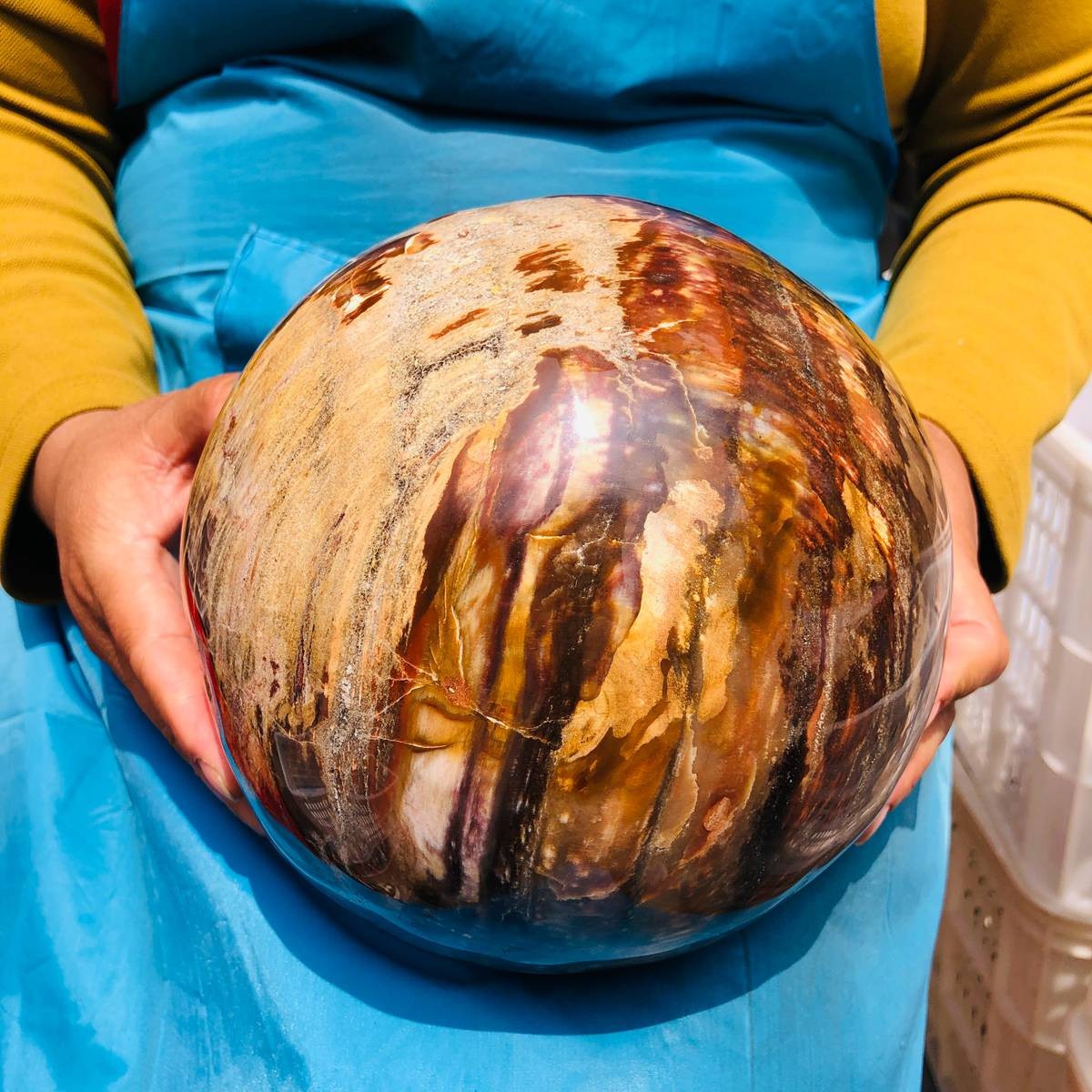 16.1LB Rare Natural Petrified Wood Ball Crystal Quartz Mineral Healing 4708