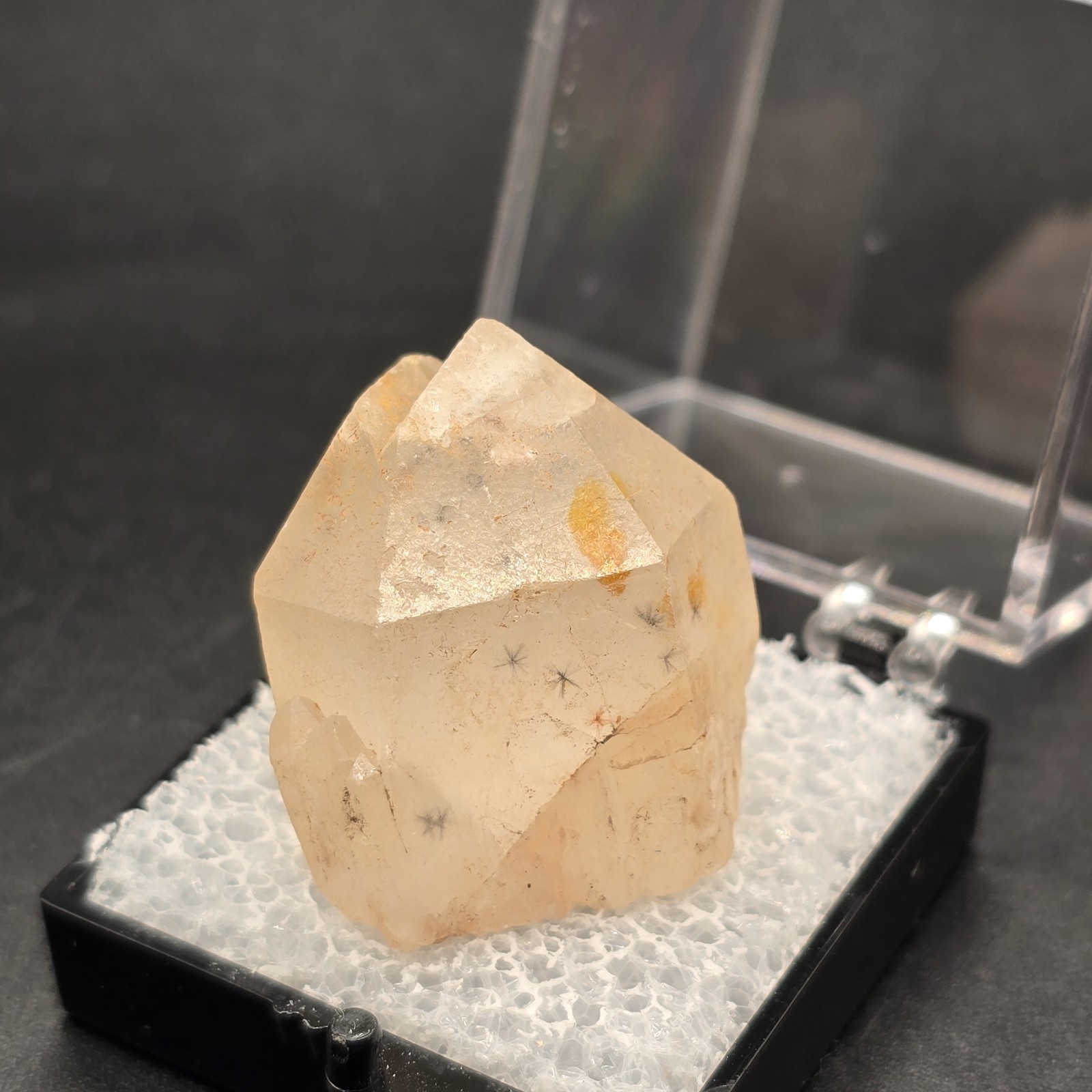 Hollandite Spider Quartz Point Crystal Madagascar Gemstone Specimen in Perky Box