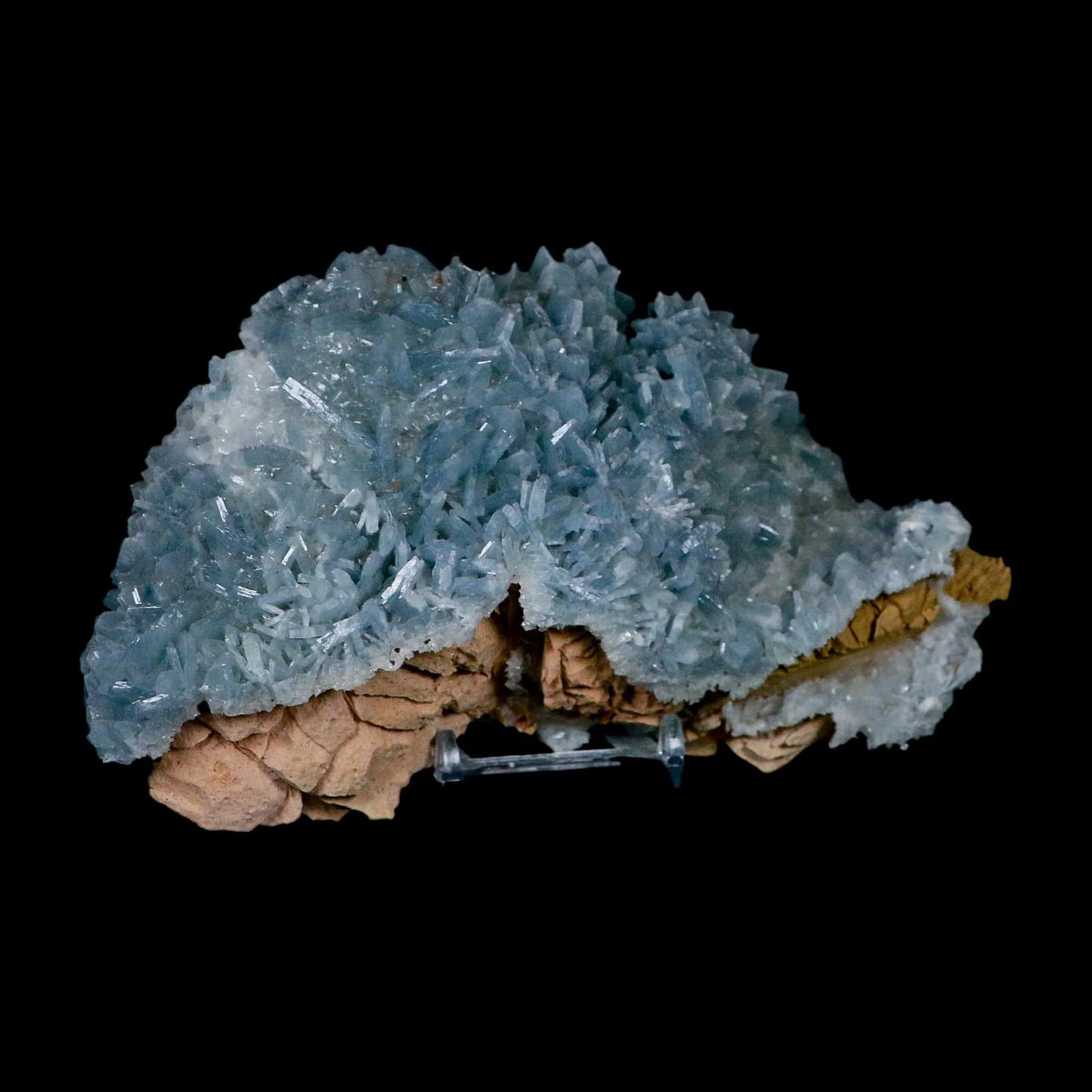 XL 7″ Ice Blue Tabular Barite Blades Crystal Mineral Meknes-Tafilalet Morocco