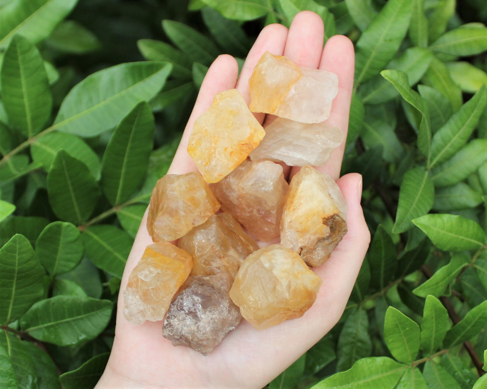 Golden Healer Quartz Rough Natural Crystals Wholesale Lots (Raw Golden Quartz)