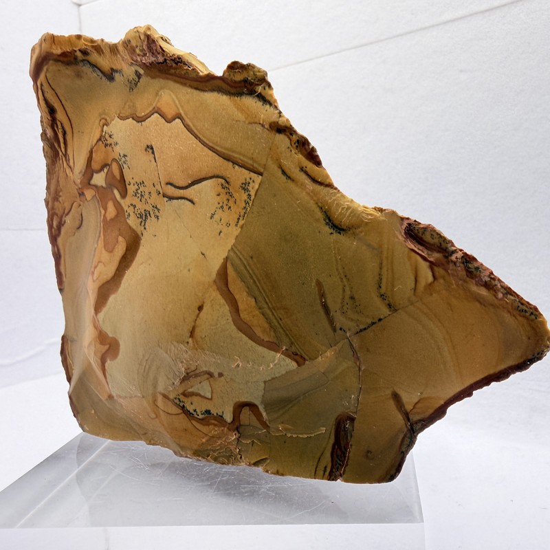 OWYHEE Picture Jasper End Cut Polished Display Stone Oregon USA