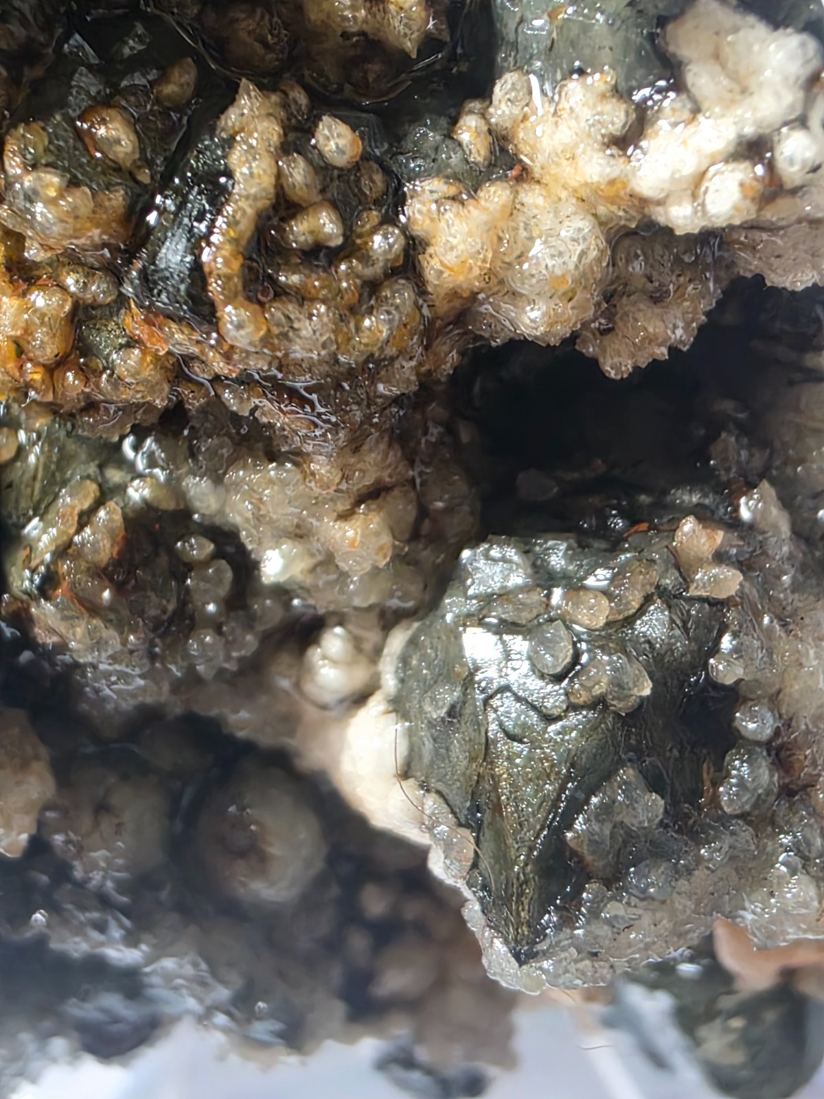 Rare Green Quartz with Siderite, Calcite & Galena – 441g Display Specimen