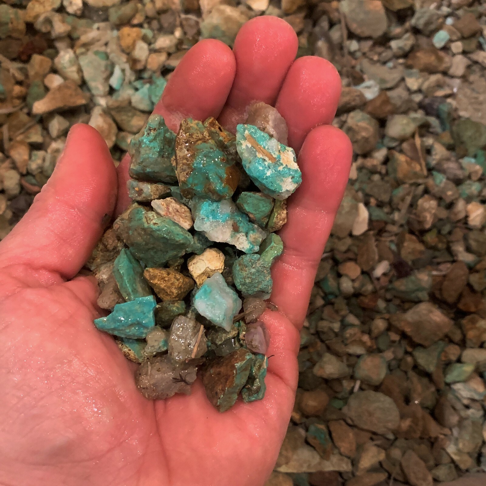 500 Carat Lots of SMALL Natural Turquoise Rough + a Free Faceted Gemstone
