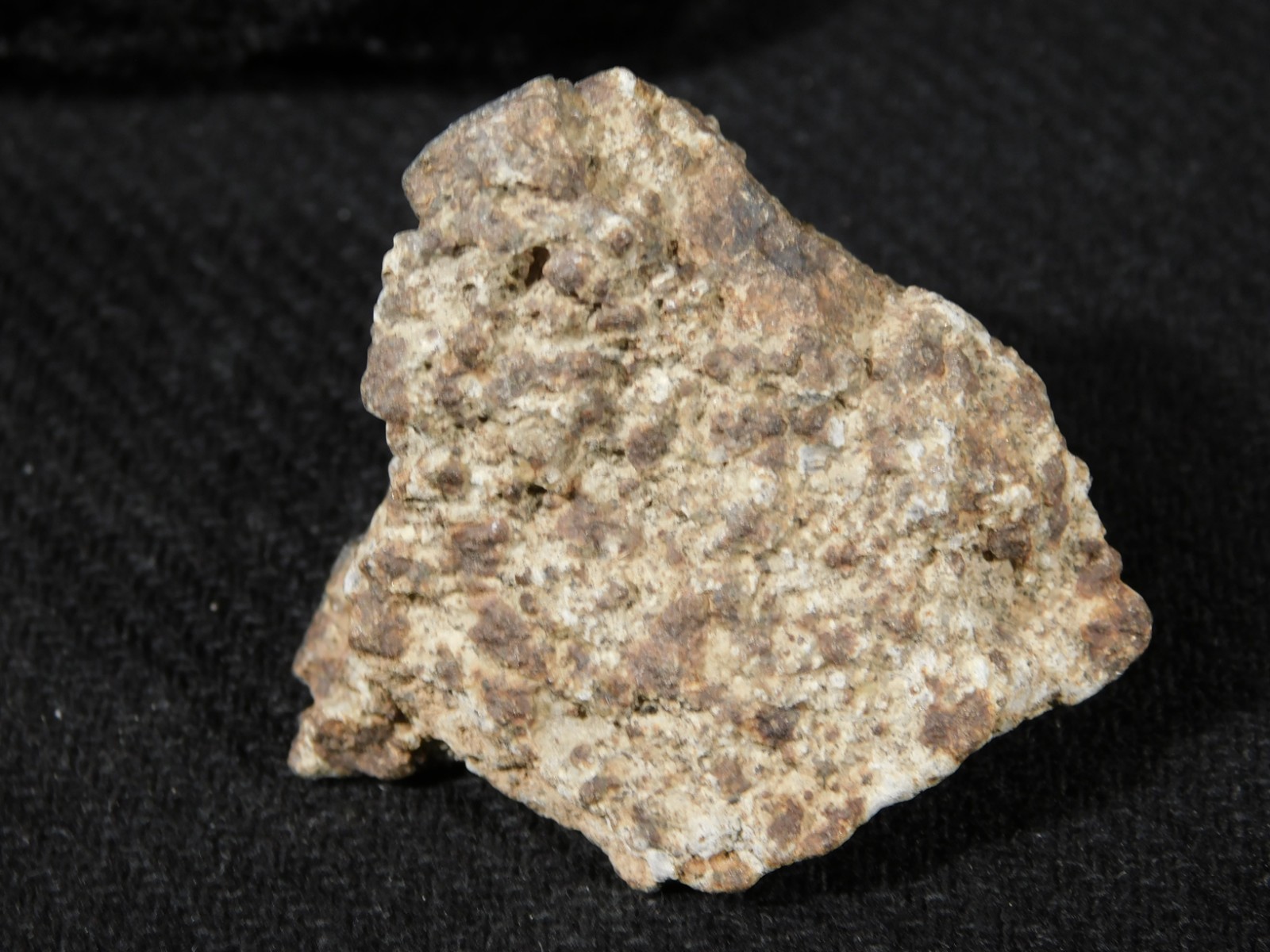 Classified NWA 8245 METEORITE 100% Natural FELL on Erfoud, Morocco 47.3gr