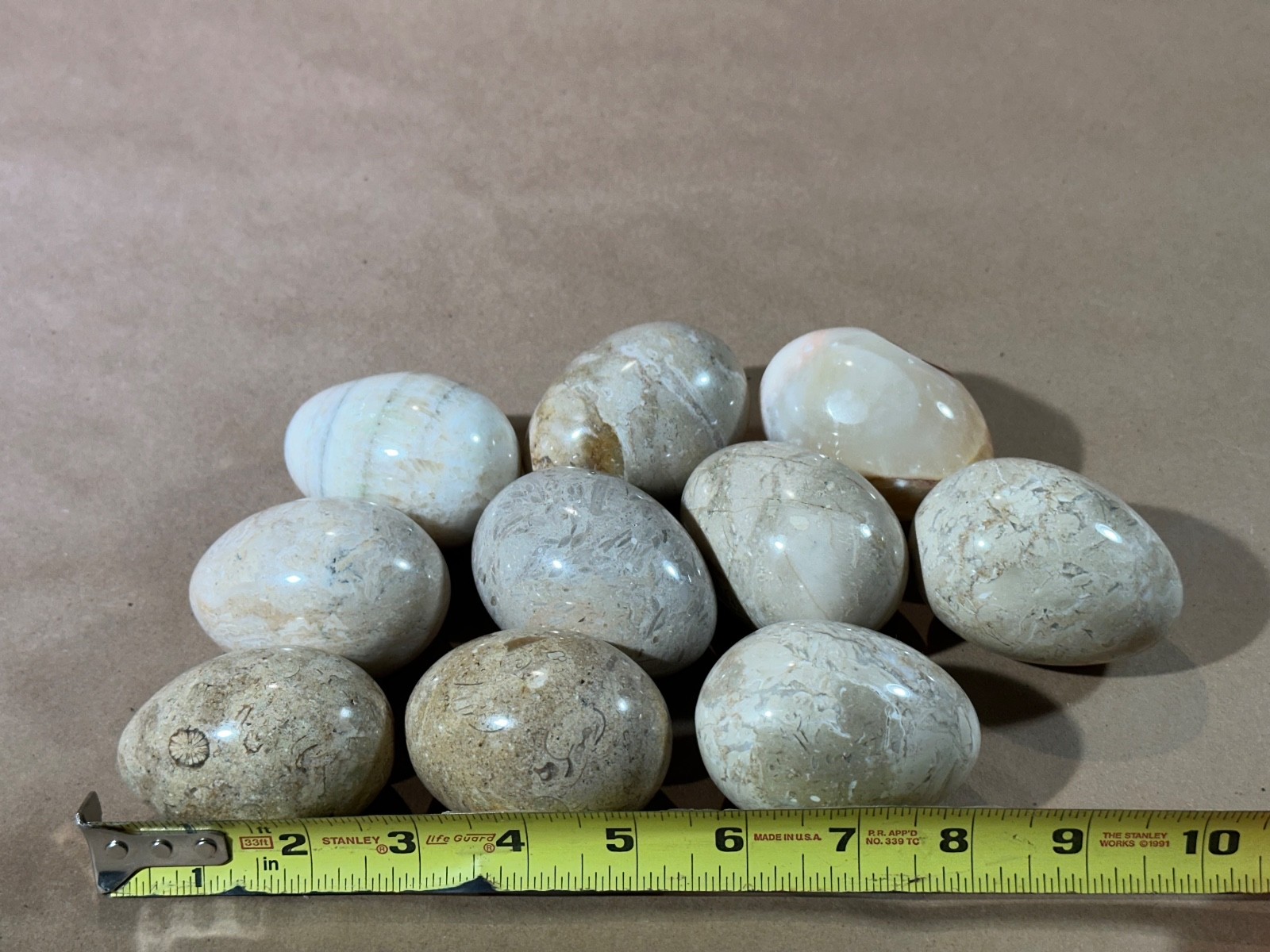 Lot of 10 Fossil Coral / Fossiliferous Limestone Polished Gemstone Eggs 2.75” –