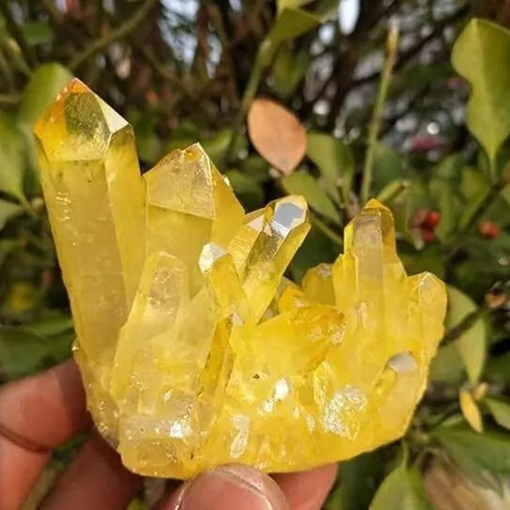 Yellow Citrine Crystal Natural Aura Titanium Cluster Healing Mineral Specimen US