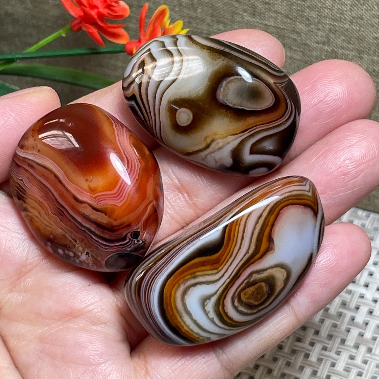 3pcs Crazy Lace SILK Banded Polished Tumbled Stone Madagascar Decor 77g