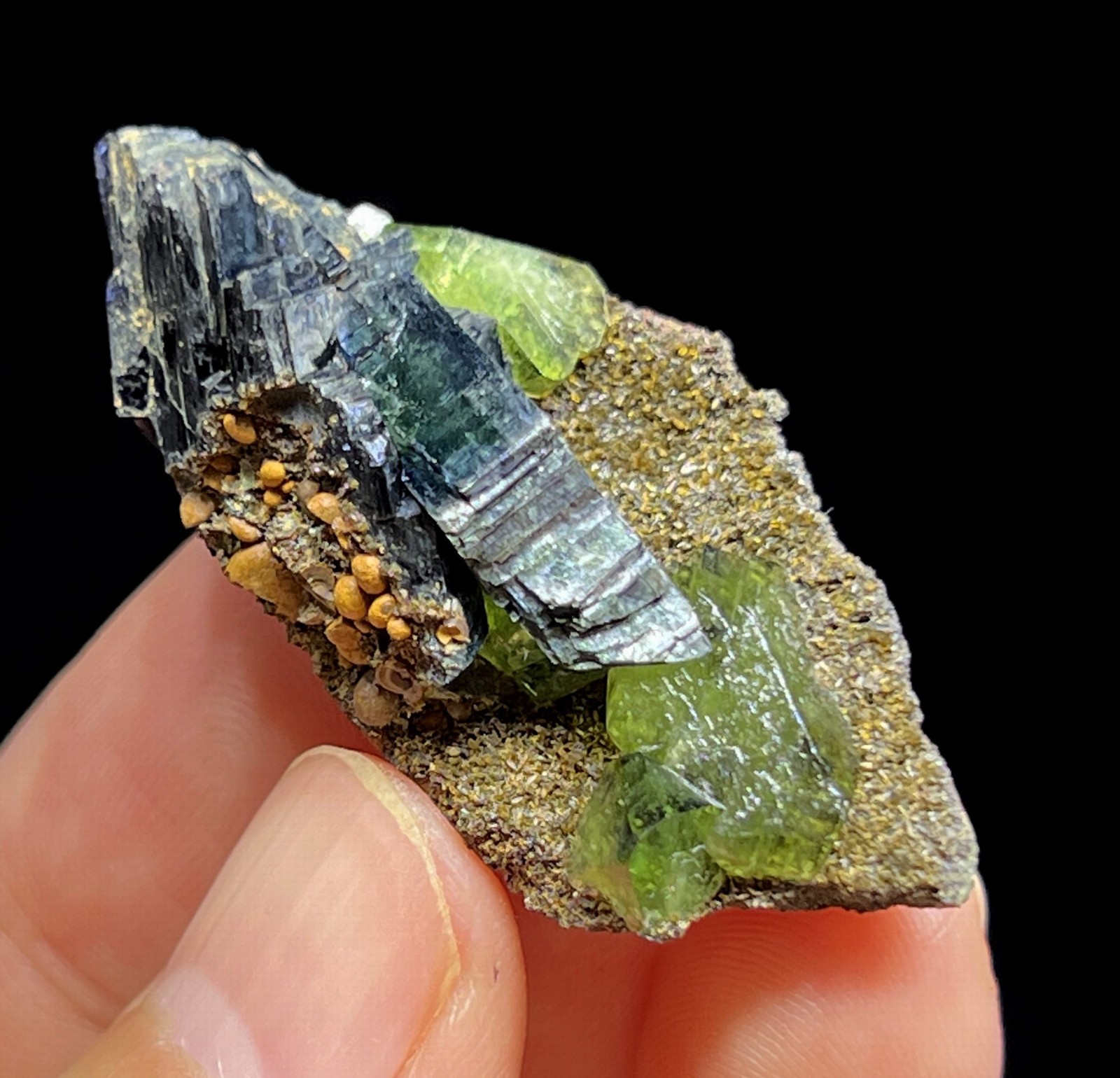 40mm GEMMY Green Ludlamite (LARGE crystals) with Vivianite mined from Brazil
