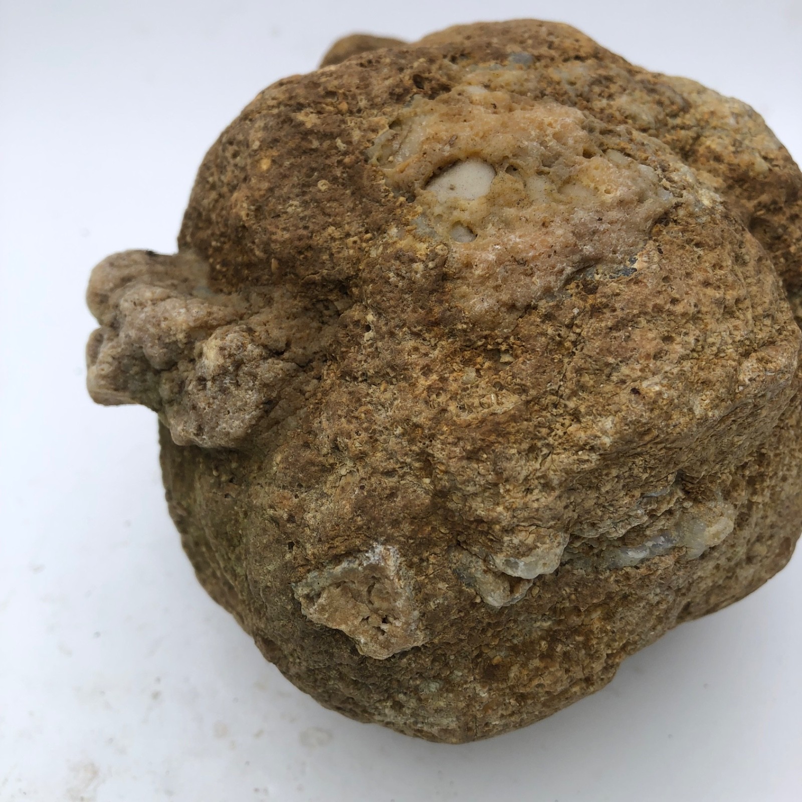 4 lb Unopened Kentucky Geode Rattler Break Your Own Hand Picked Natural Quartz