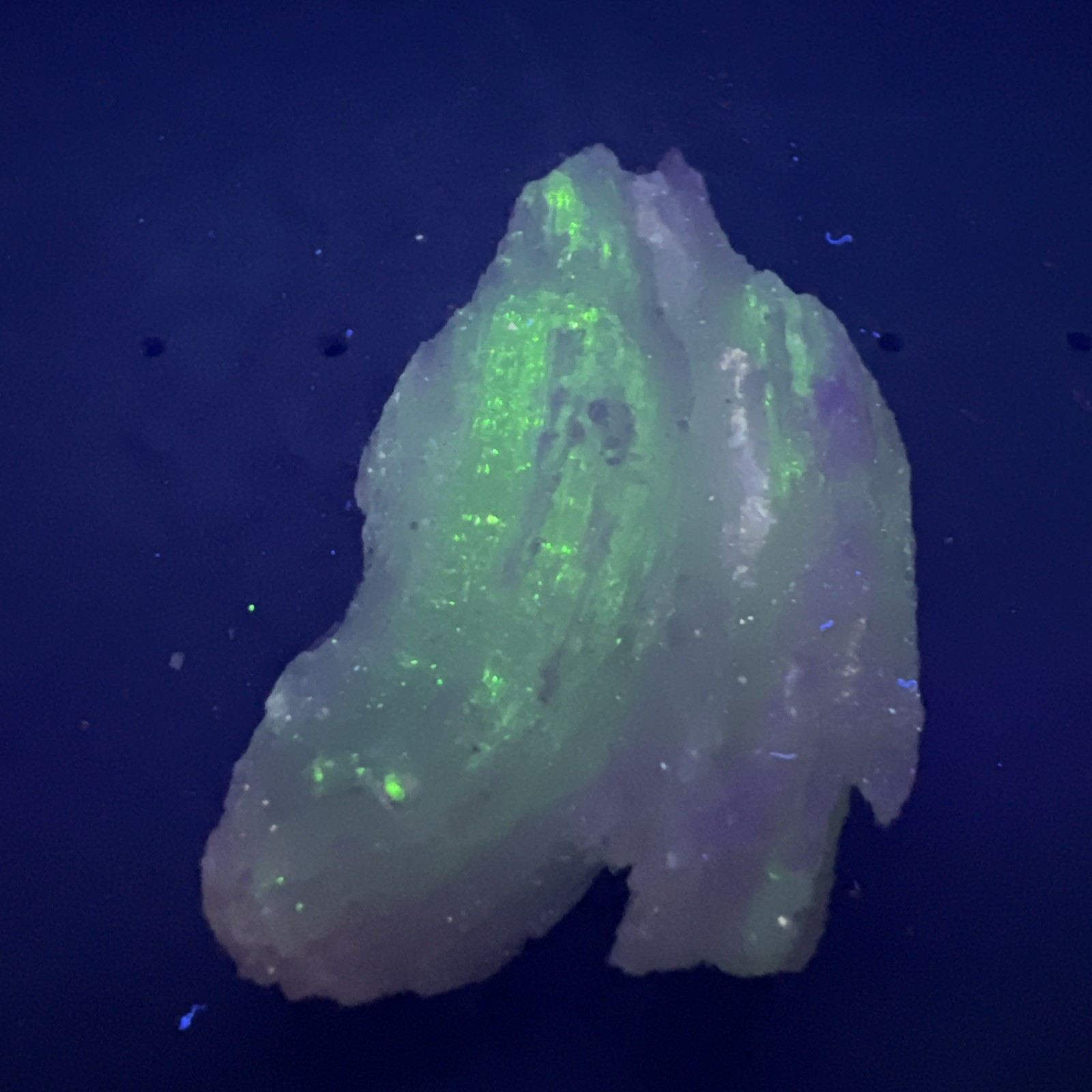 Fluorescent White Gypsum Selenite Buena Tierra Mine, Santa Eulalia, Mex. 18 g.