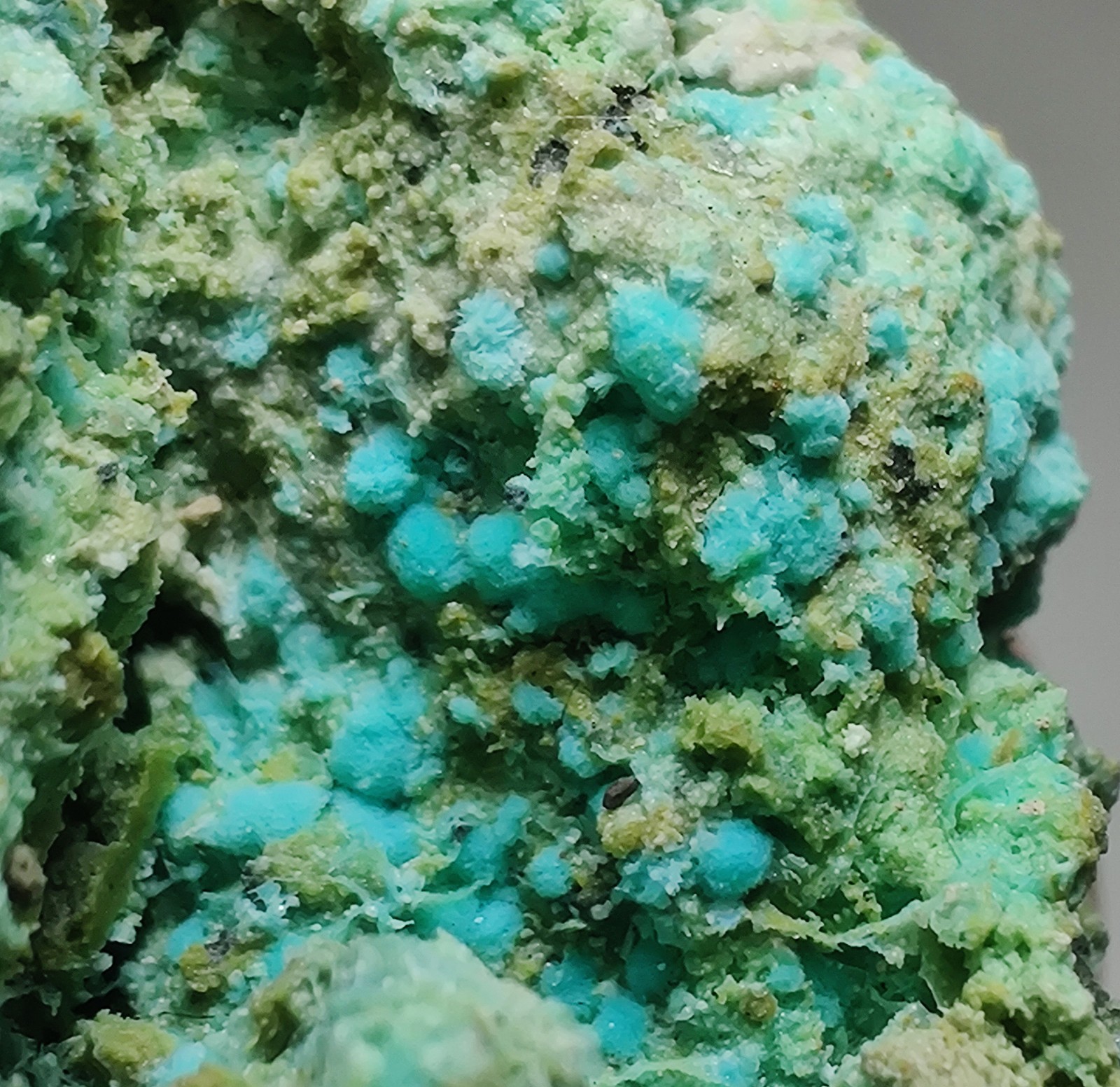 Aurichalcite and Smithsonite?, etc. Kelly Mine, New Mexico. 16 grams.