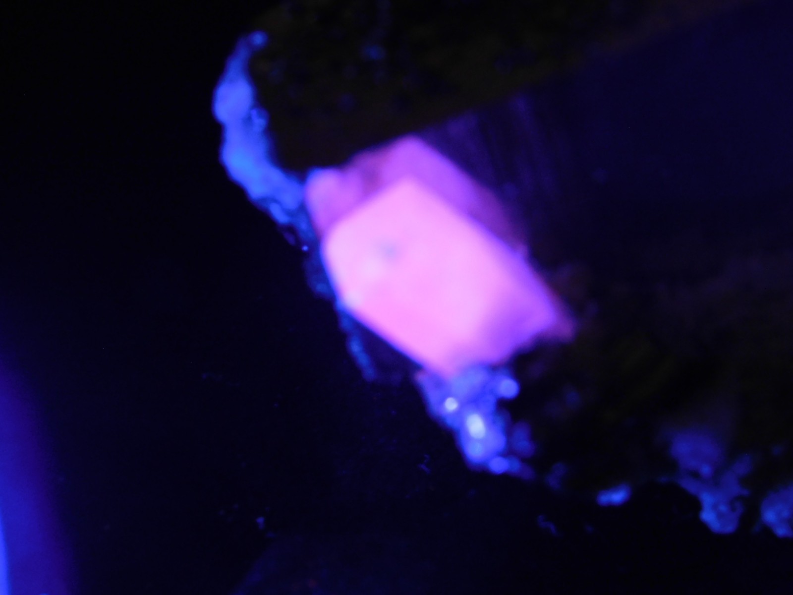 FLUORESCENT Calcite Crystal with PYRITE Crystal CUBES! From Peru 295gr