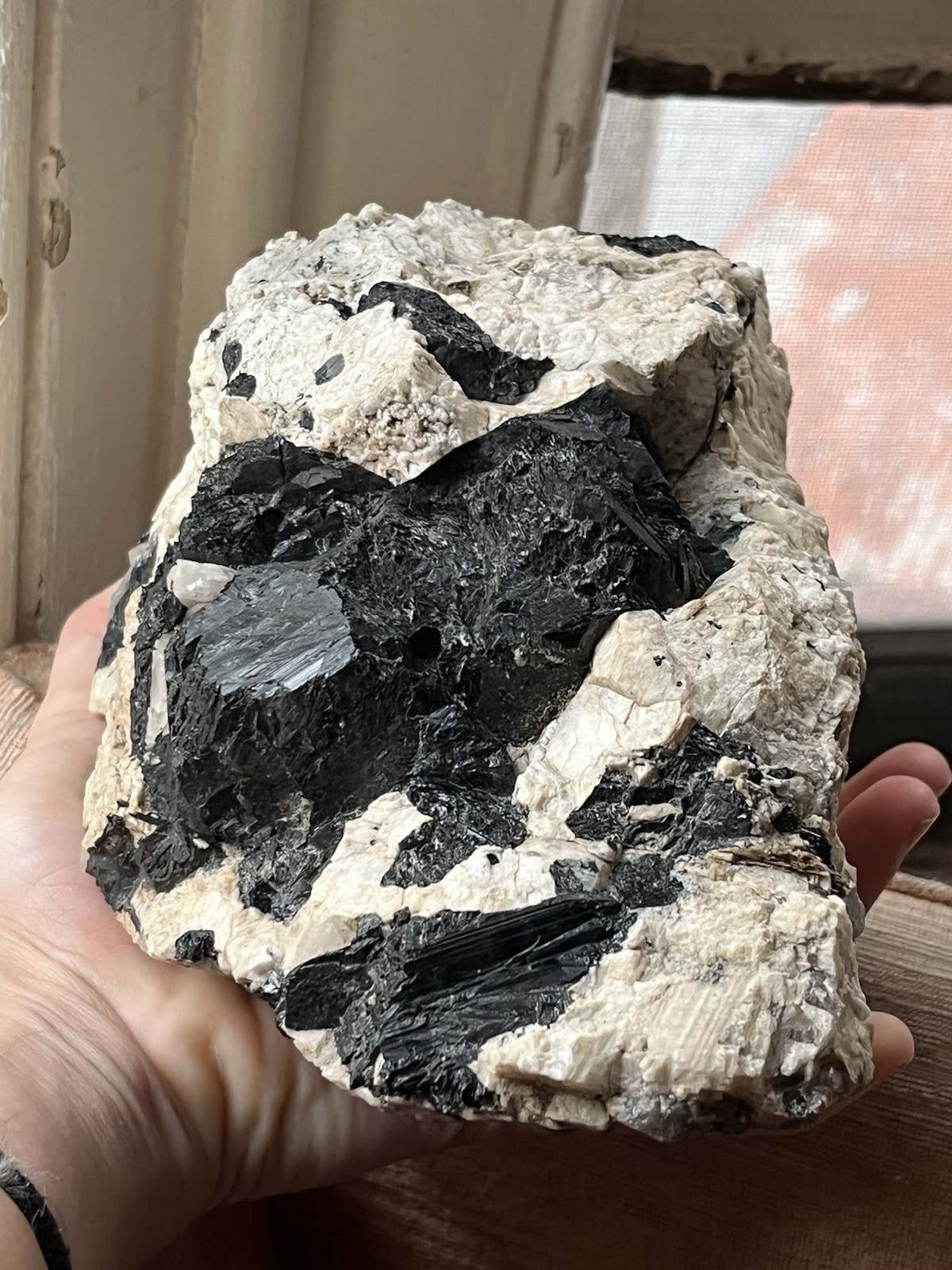HUGE 6lb 9” Black Tourmaline Schorl Crystals In Matrix Maine USA Locality Quartz
