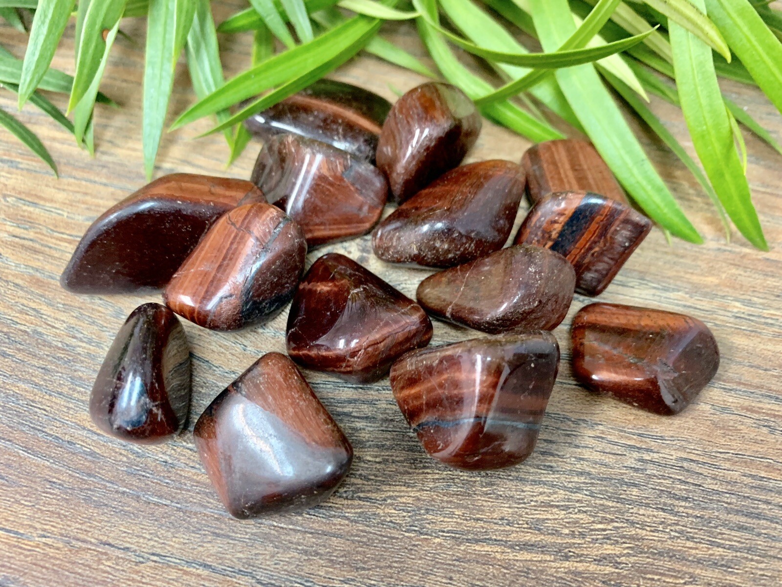 1/2 lb Red Tiger Iron Tumbled Stones Crystal Therapy Gemstone Specimen Reiki.
