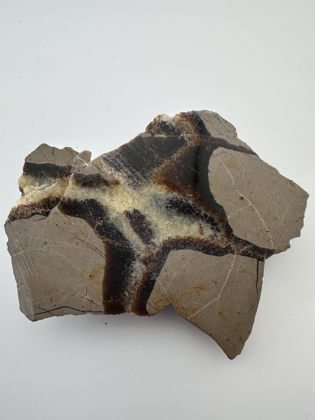 Polished Septarian End Piece Thick Slab 4″ X 3″ 8.3 oz Natural Art!