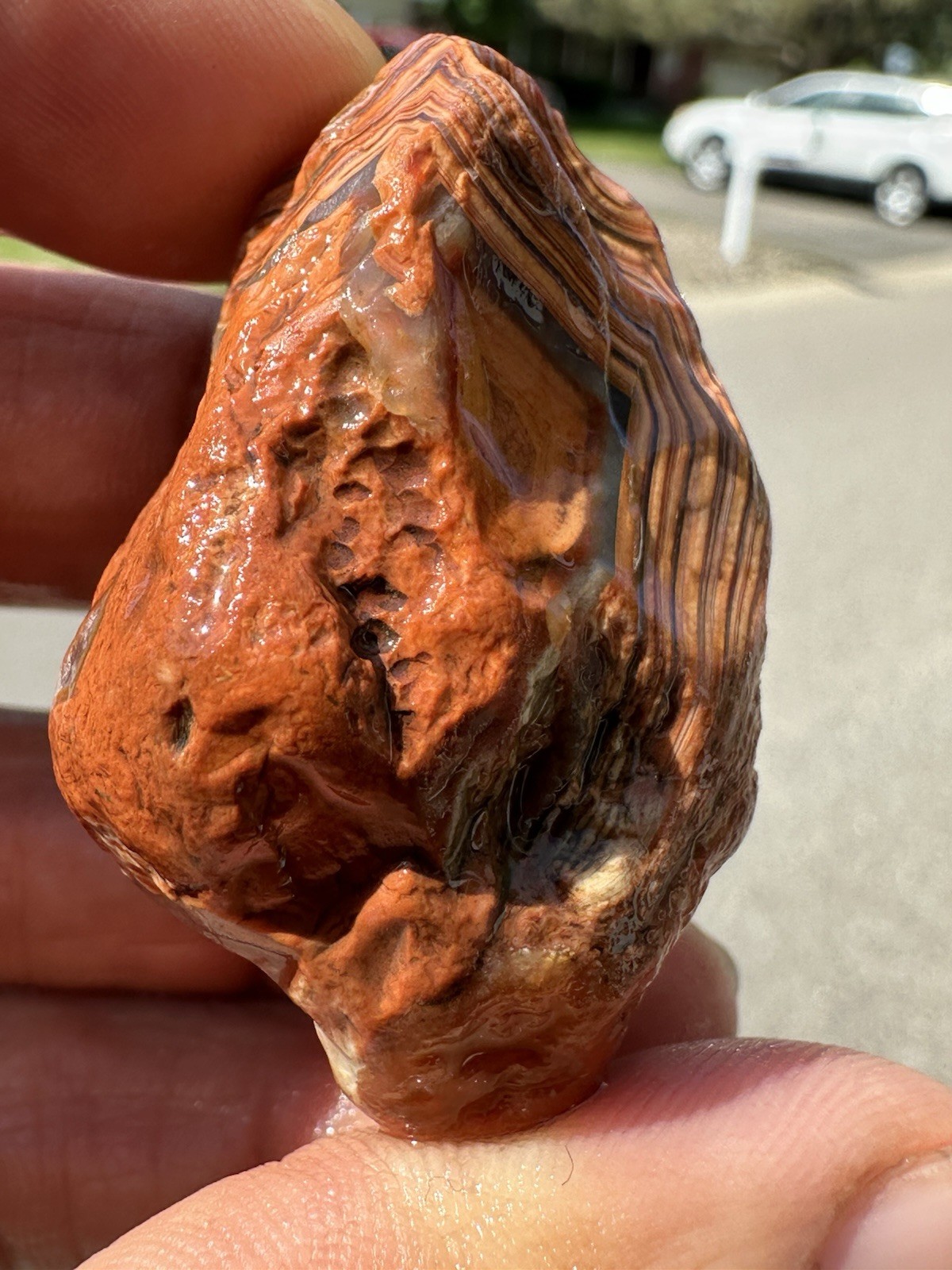 1.45 oz Lake Superior Agate Rare Chalky Opaque Fire Canyon Paint Agate (DEAL)