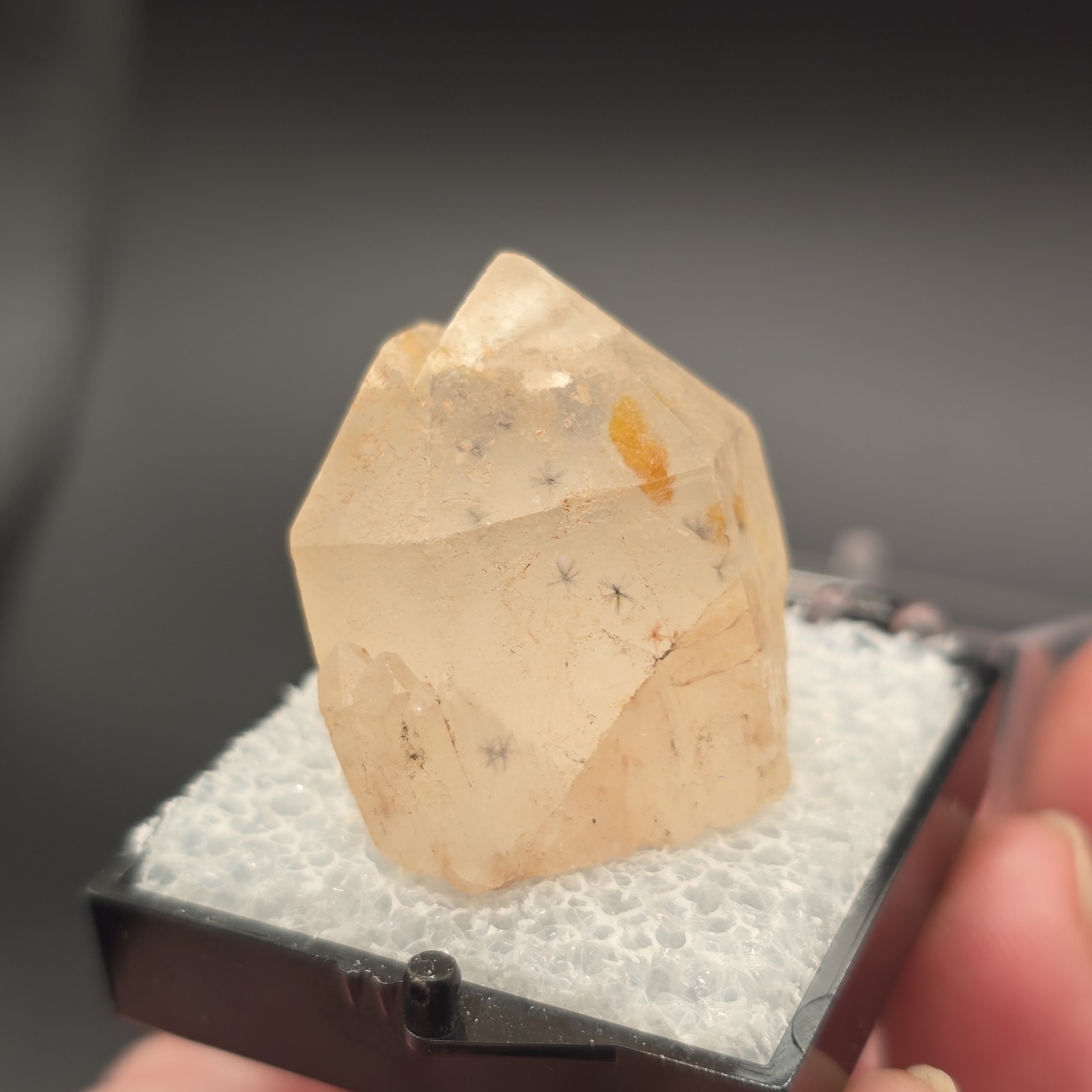 Hollandite Spider Quartz Point Crystal Madagascar Gemstone Specimen in Perky Box