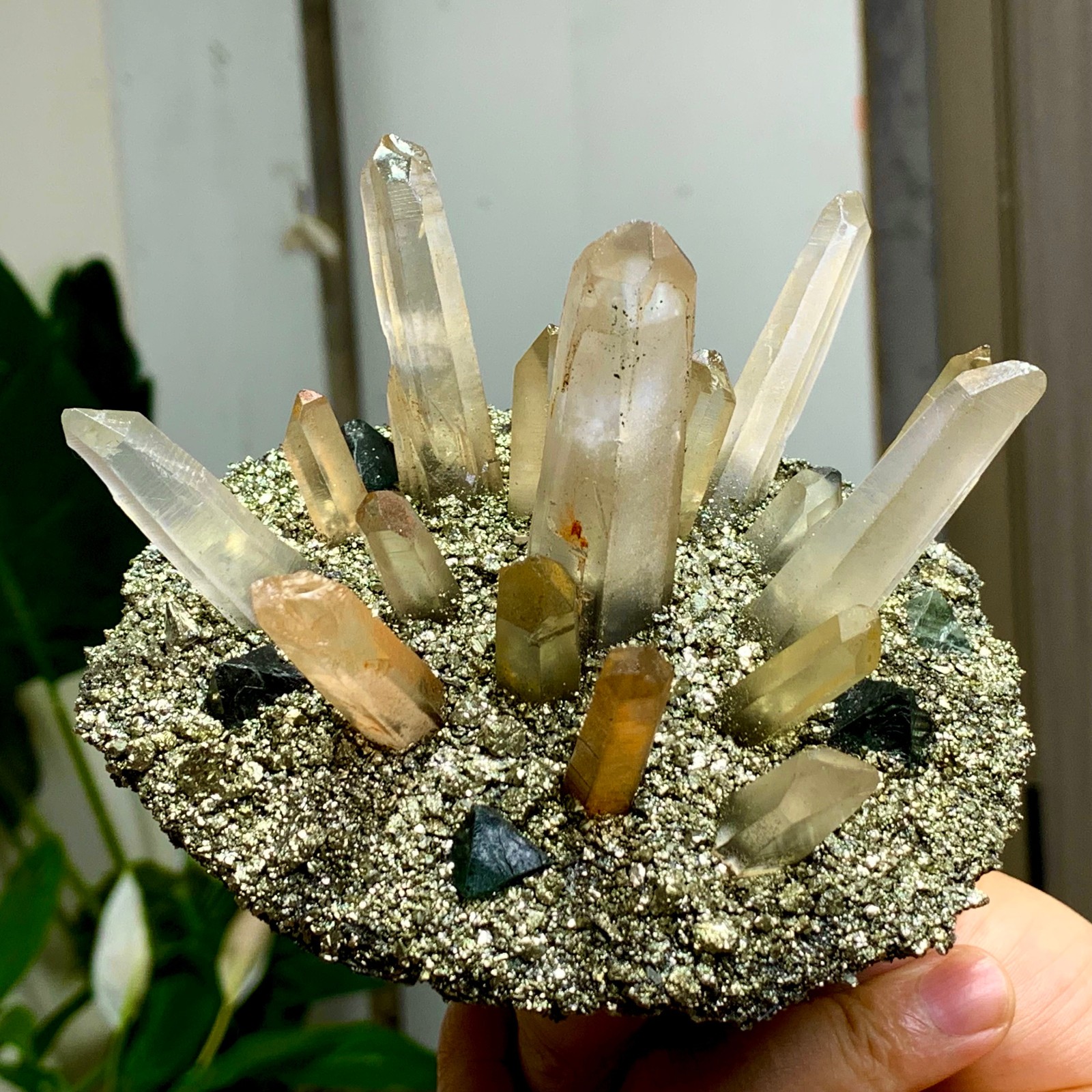 492G Coexistence of natural quartz and pyrite green fluorite crystal clusters